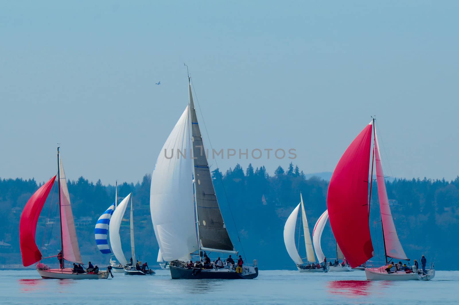 Salinig Races in the Pacific Northwest USA
