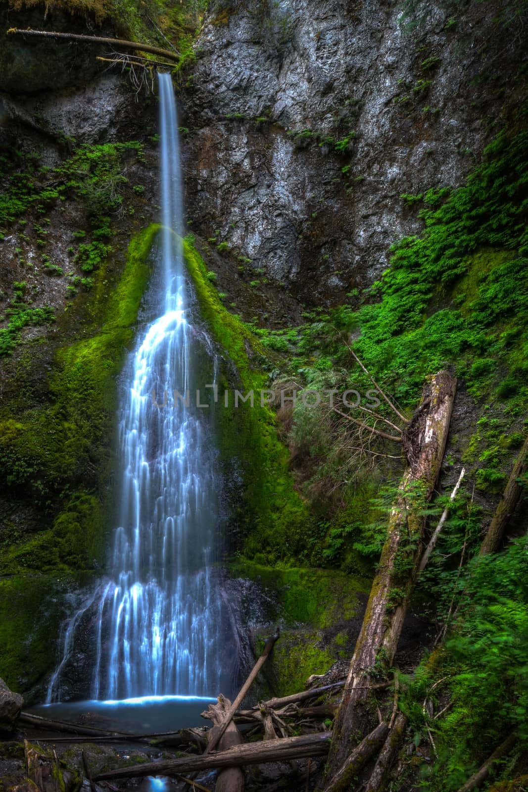 Marymeer Falls on easy hike in Olympic National Park