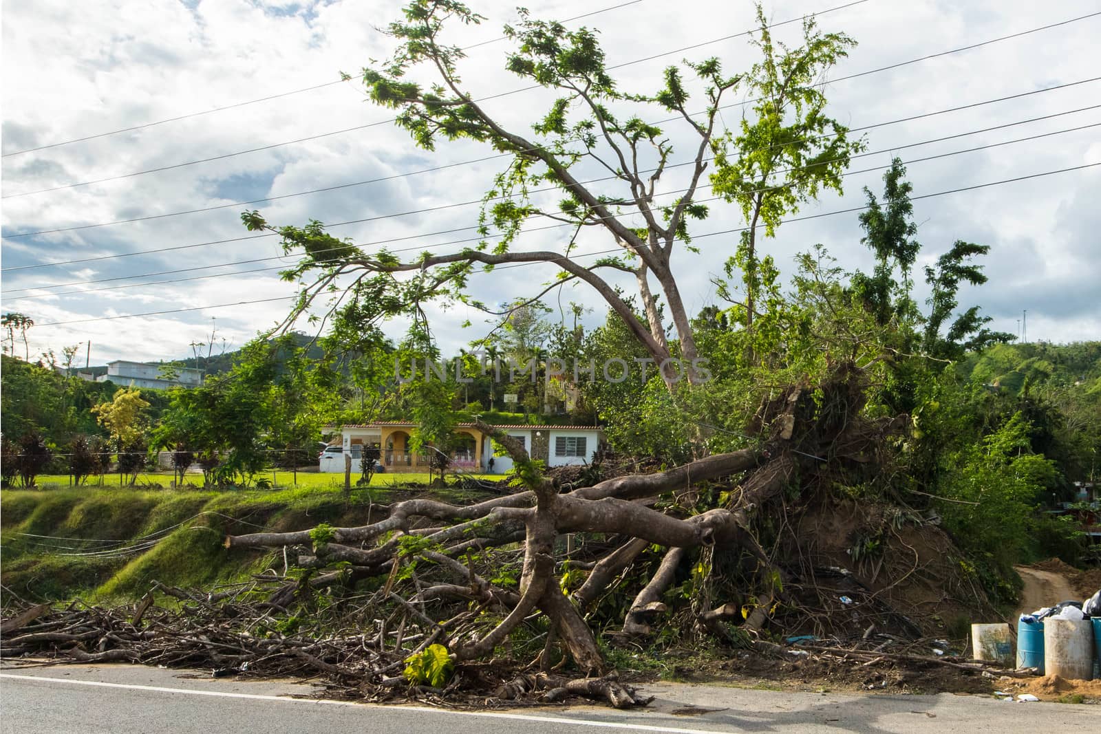 Hurricane Maria Damage in Puerto Rico by cestes001