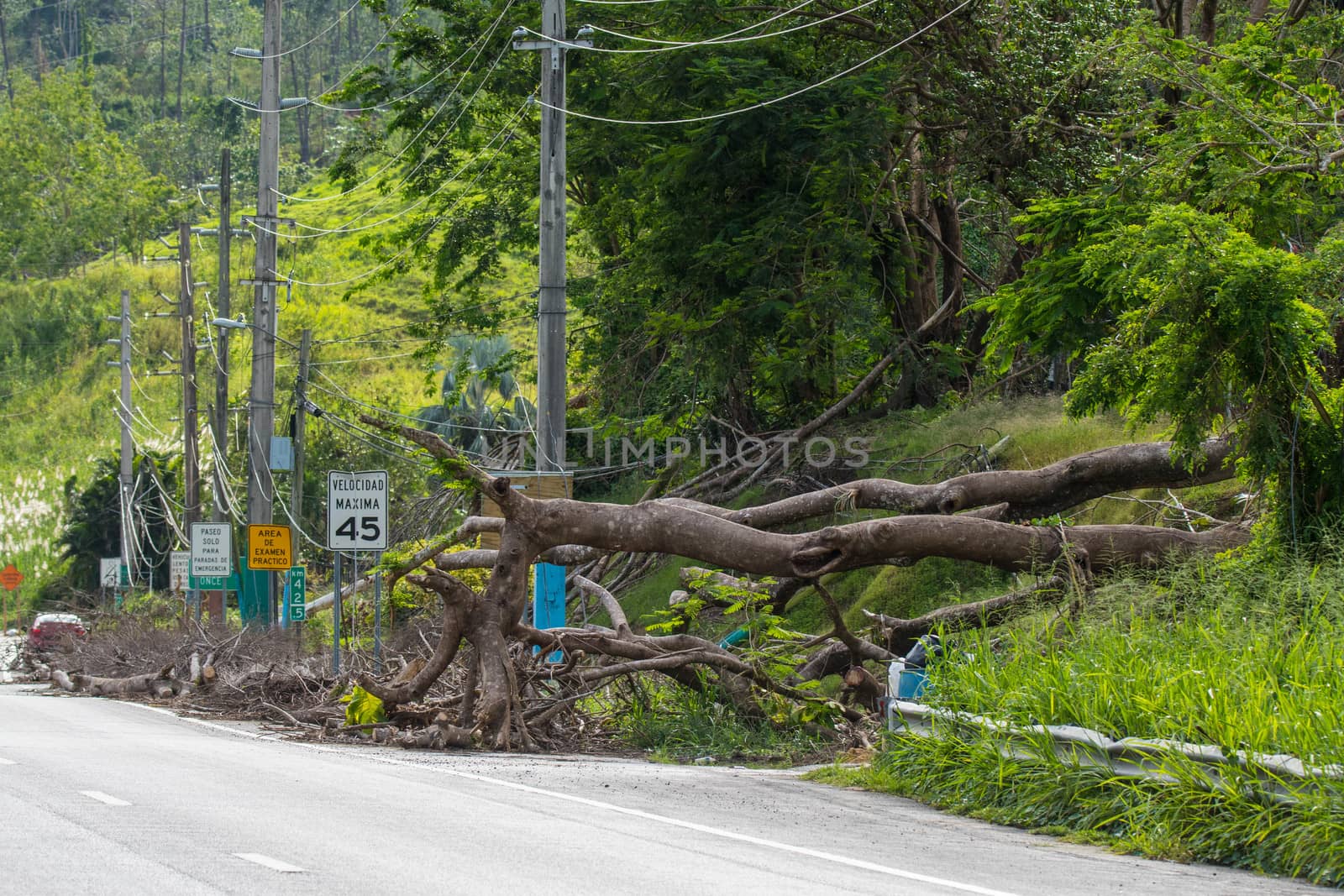 Roadside scene in Puerto Rico after Hurricane Marie showing damage to landscape