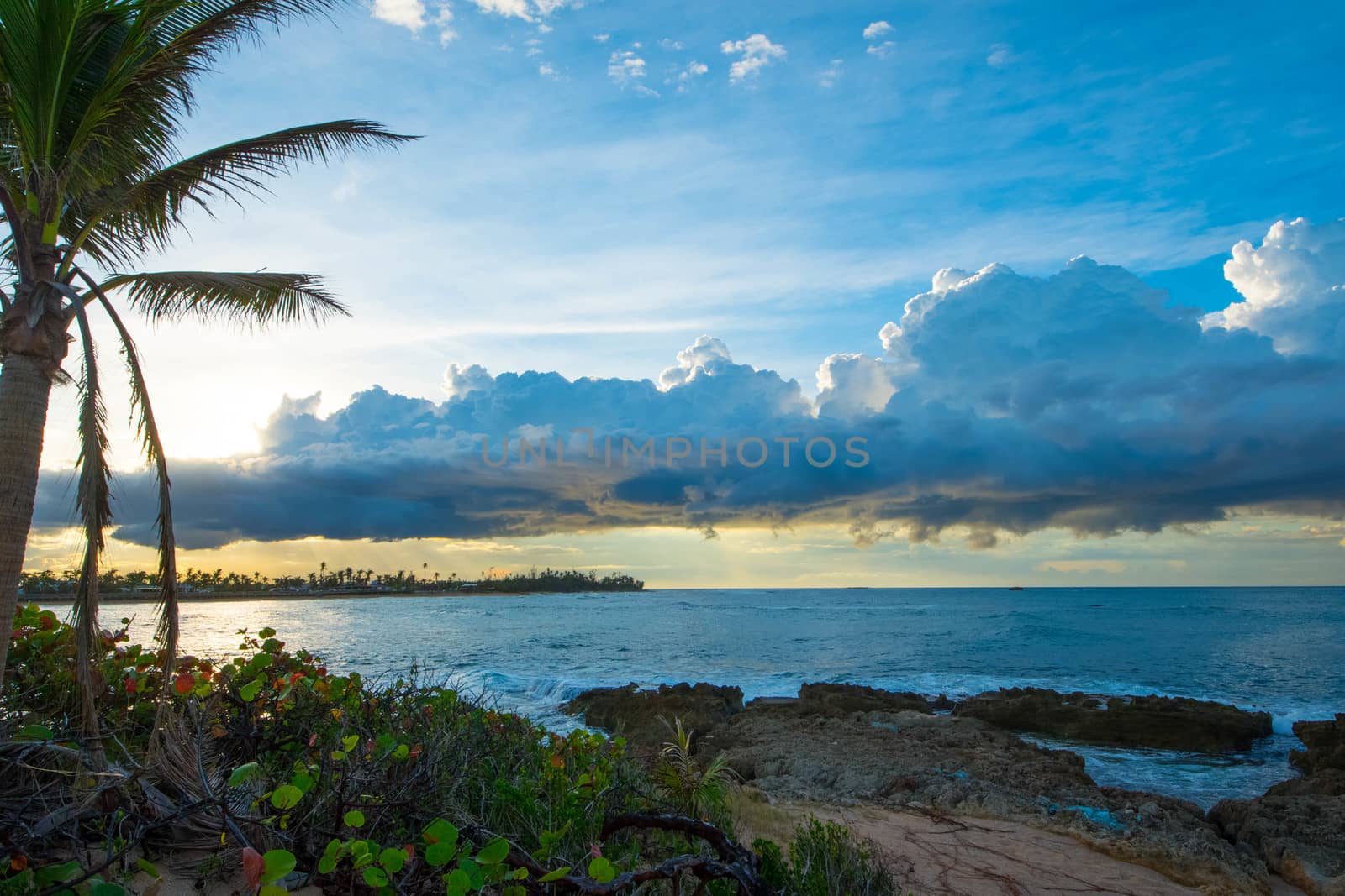 Puerto Rico Beach Scene by cestes001