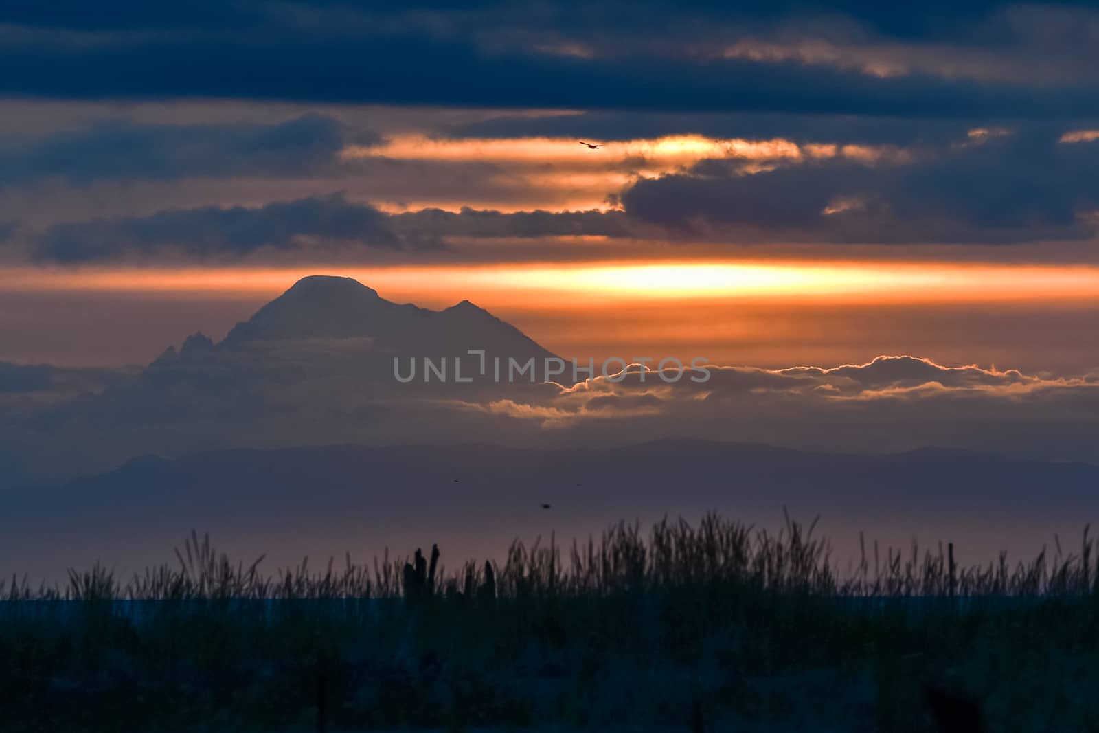 Mount Baker at Sunrise taken from Sequim, WA.
