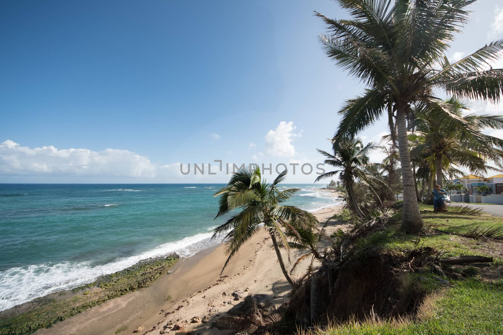 Hatillo, Puerto Rico beach scene with palms and emerald green water.