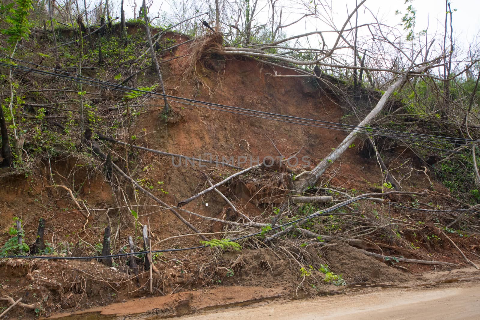 Many roads were destroyed by Hurricane Maria in September, 2017 and by the resulting flooding and soil saturation.