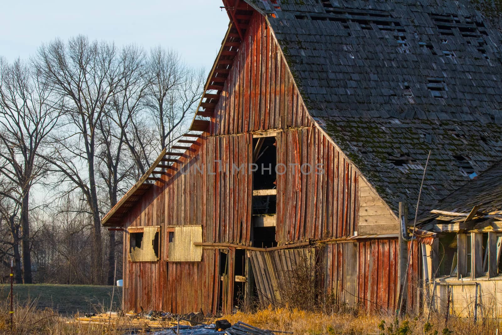 Weathered barn in Washington's Skagit Valley in early winter.