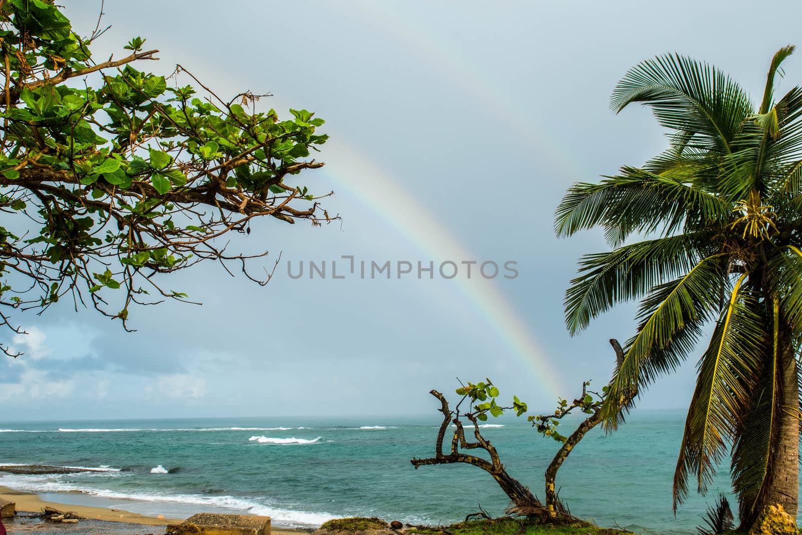 Beach scene with rainbow in Puerto Rico by cestes001