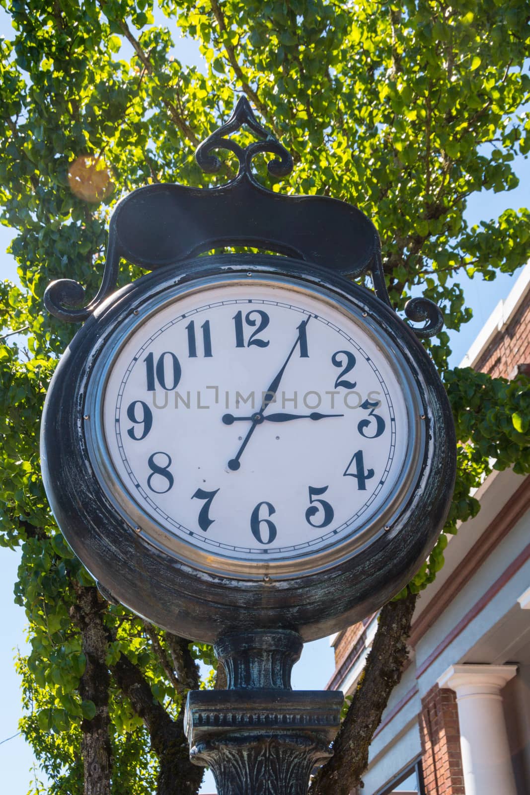 Town clock in front of City Hall in small town, Washington State