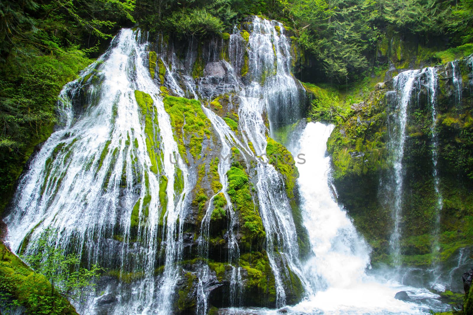 Panther Creek Falls by cestes001