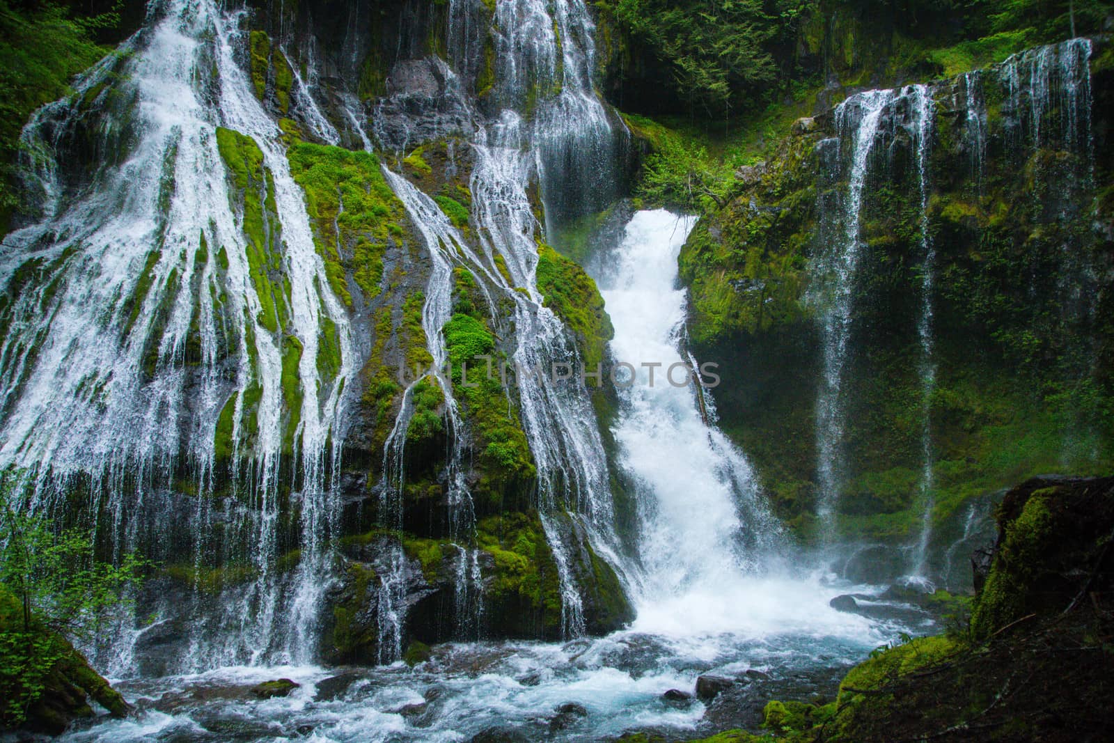 Panther Creek Falls by cestes001