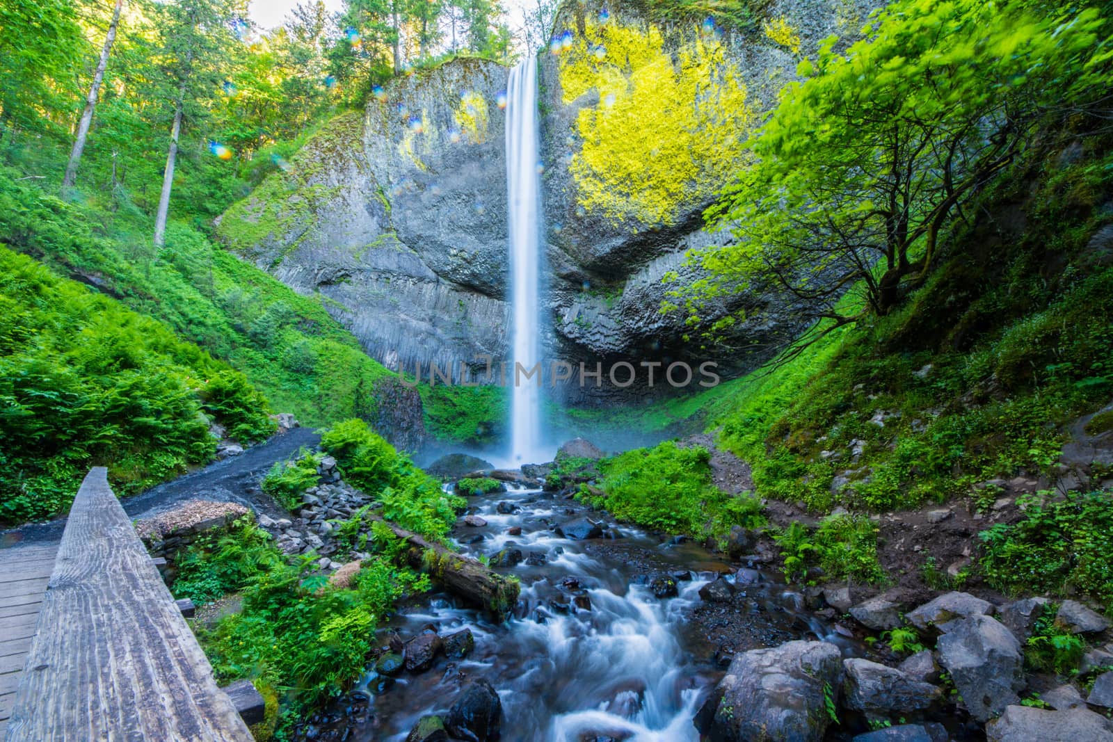 Latourell Falls by cestes001