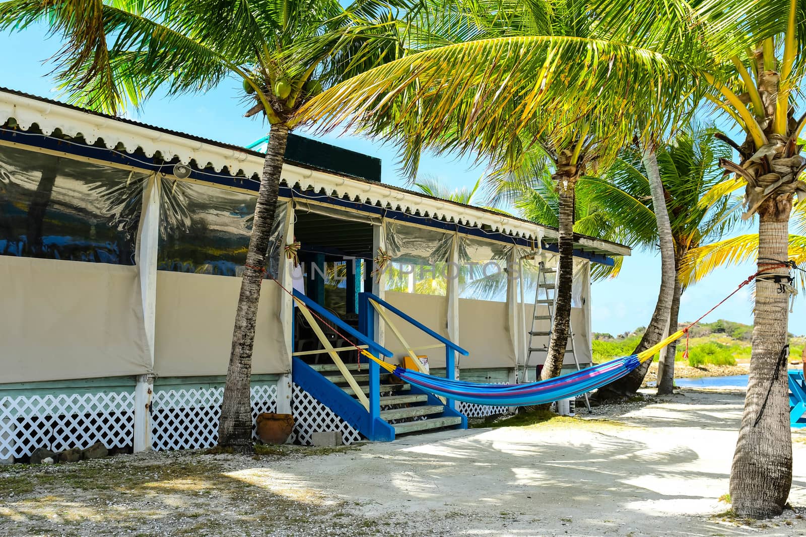 Beach Bar - Virgin Islands by cestes001