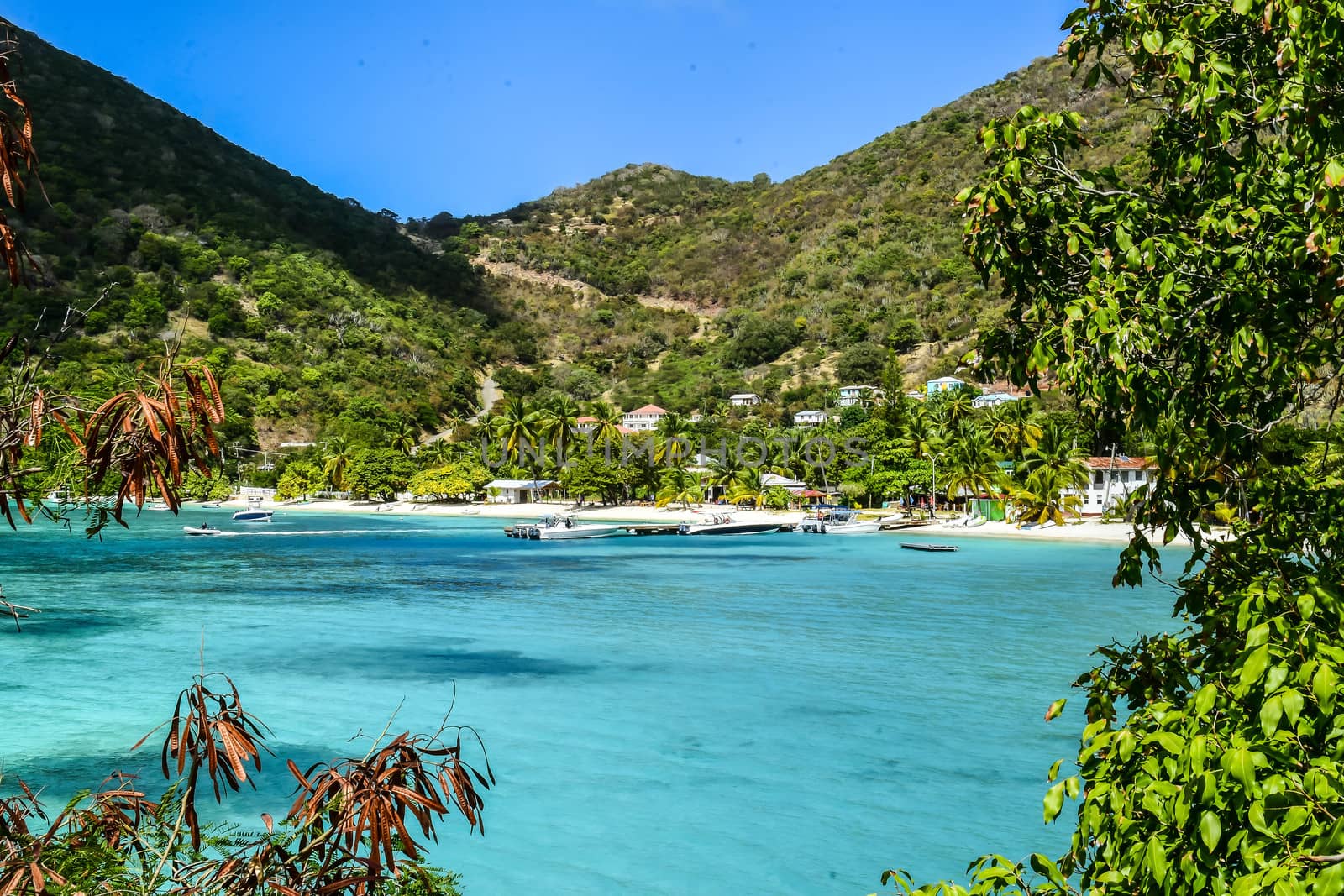 British Virgin Islands Beach by cestes001