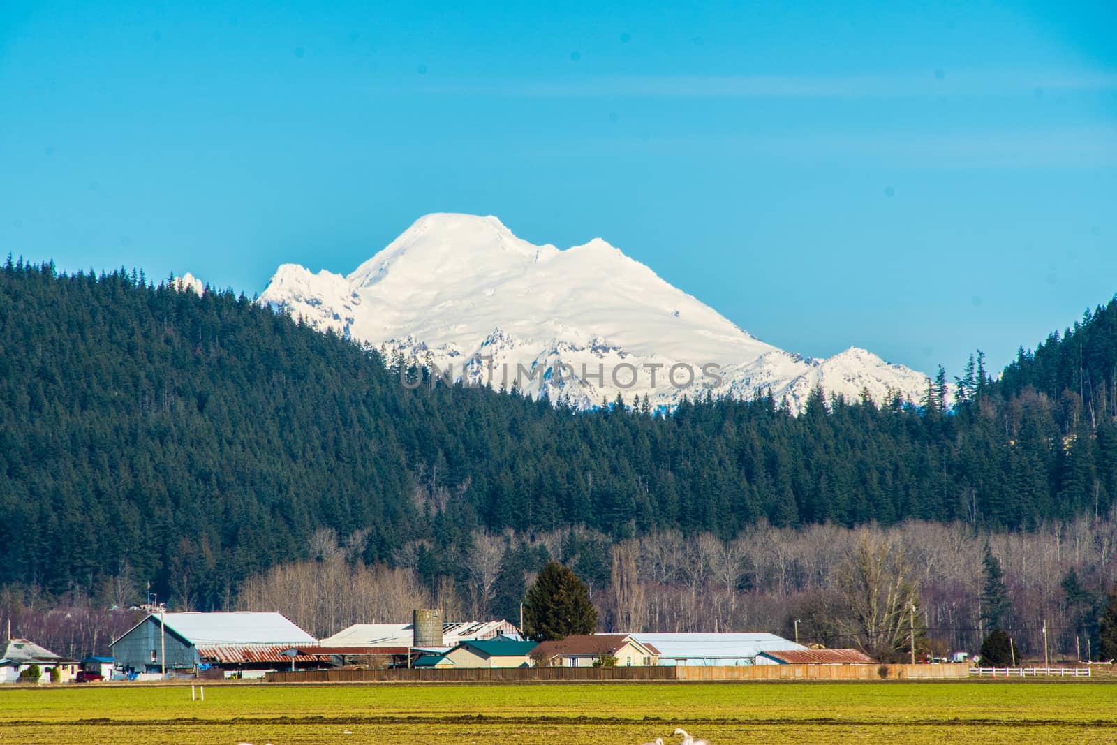 Mount Baker from Skagit Valley by cestes001