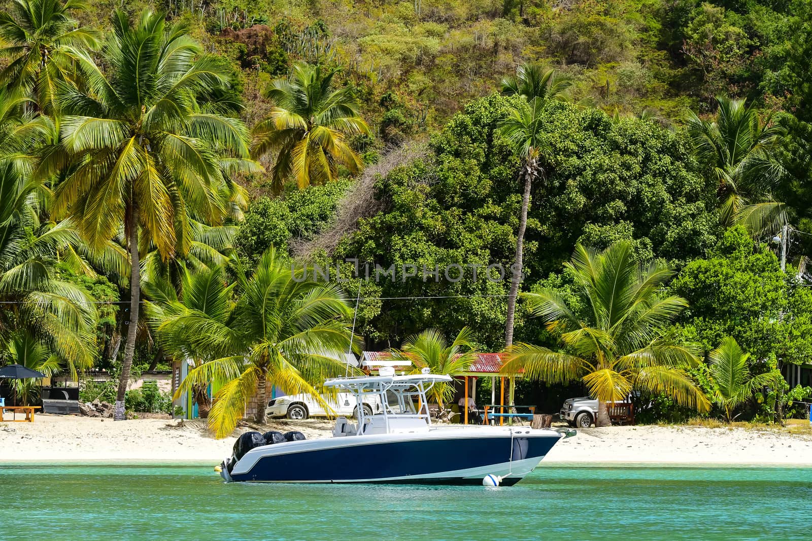 Ski boat anchored in front of sandy beach in British Virgin Isands