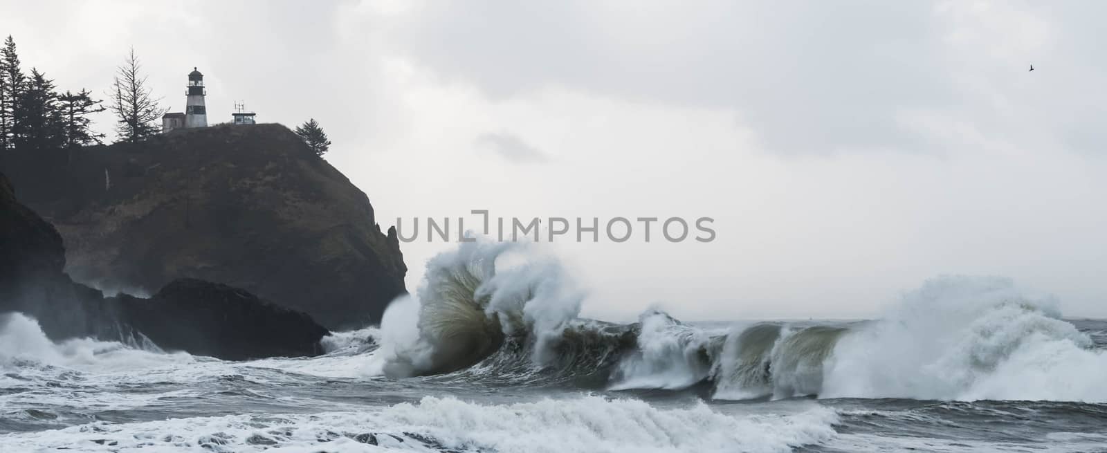 Waves on Washington Coast at Cape Disappointment State Park by cestes001