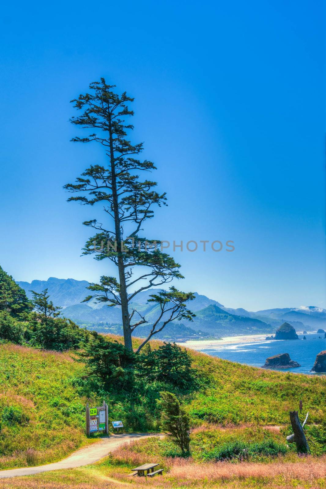 State Park overlooking Cannon Beach, Oregon