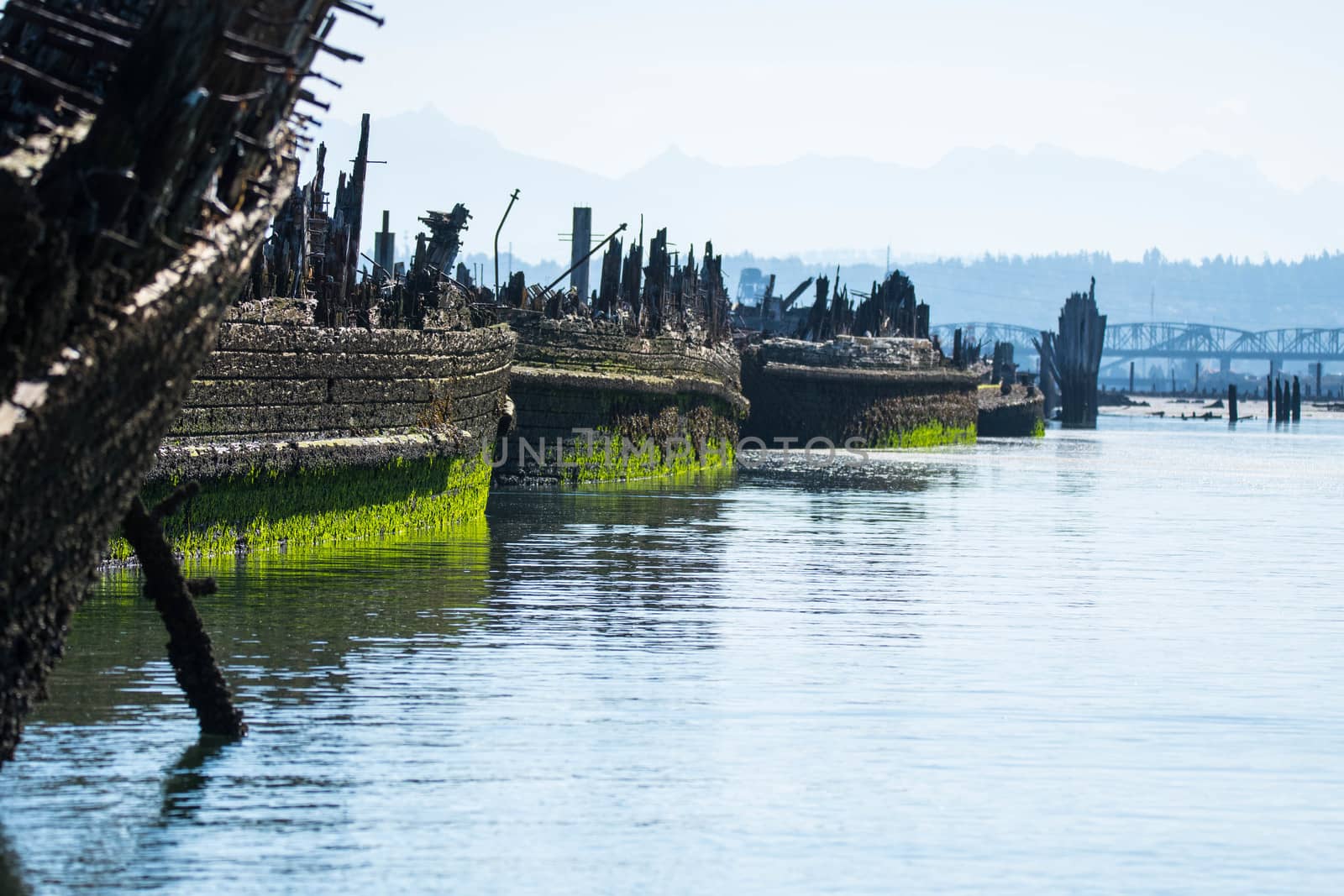 Abandoned barges left on shoal in Steamboat Slough, Everett, WA