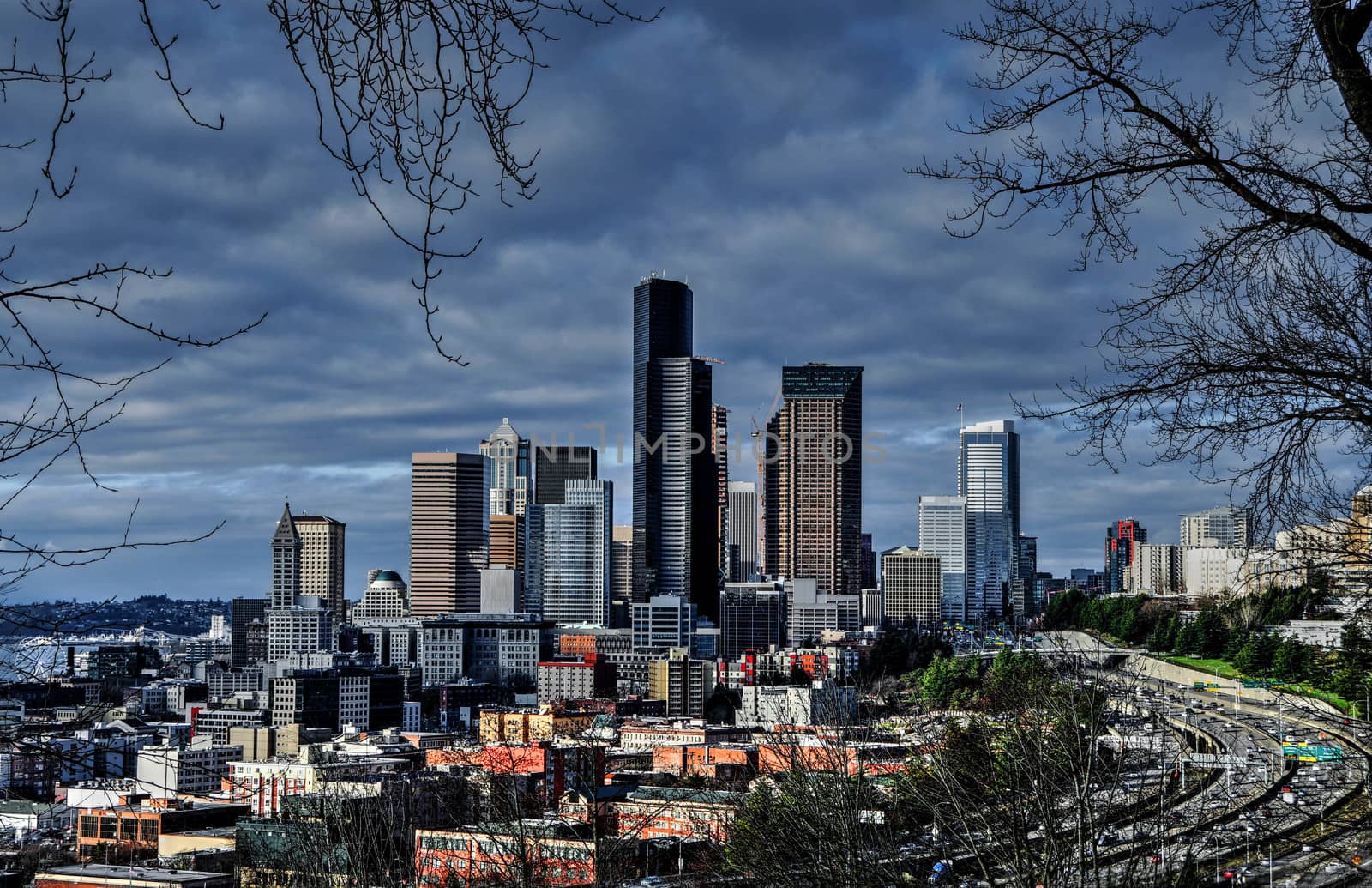 View of Seattle from Beacon Hill by cestes001
