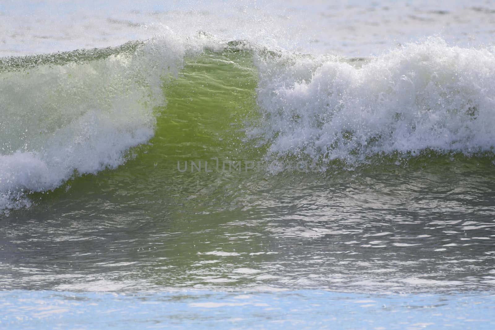 Surf at First Beach, Washington by cestes001