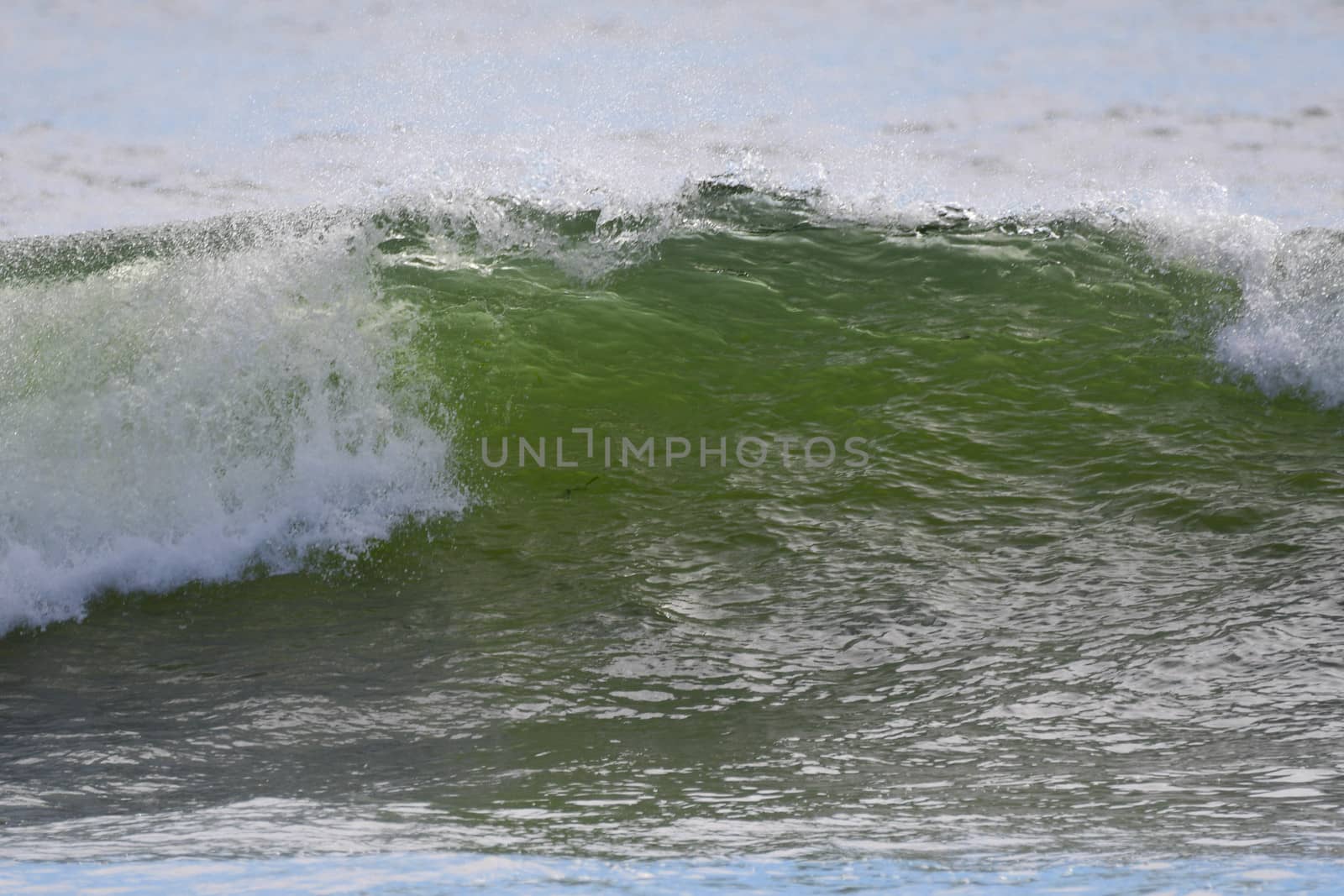 Surf at First Beach, Washington by cestes001