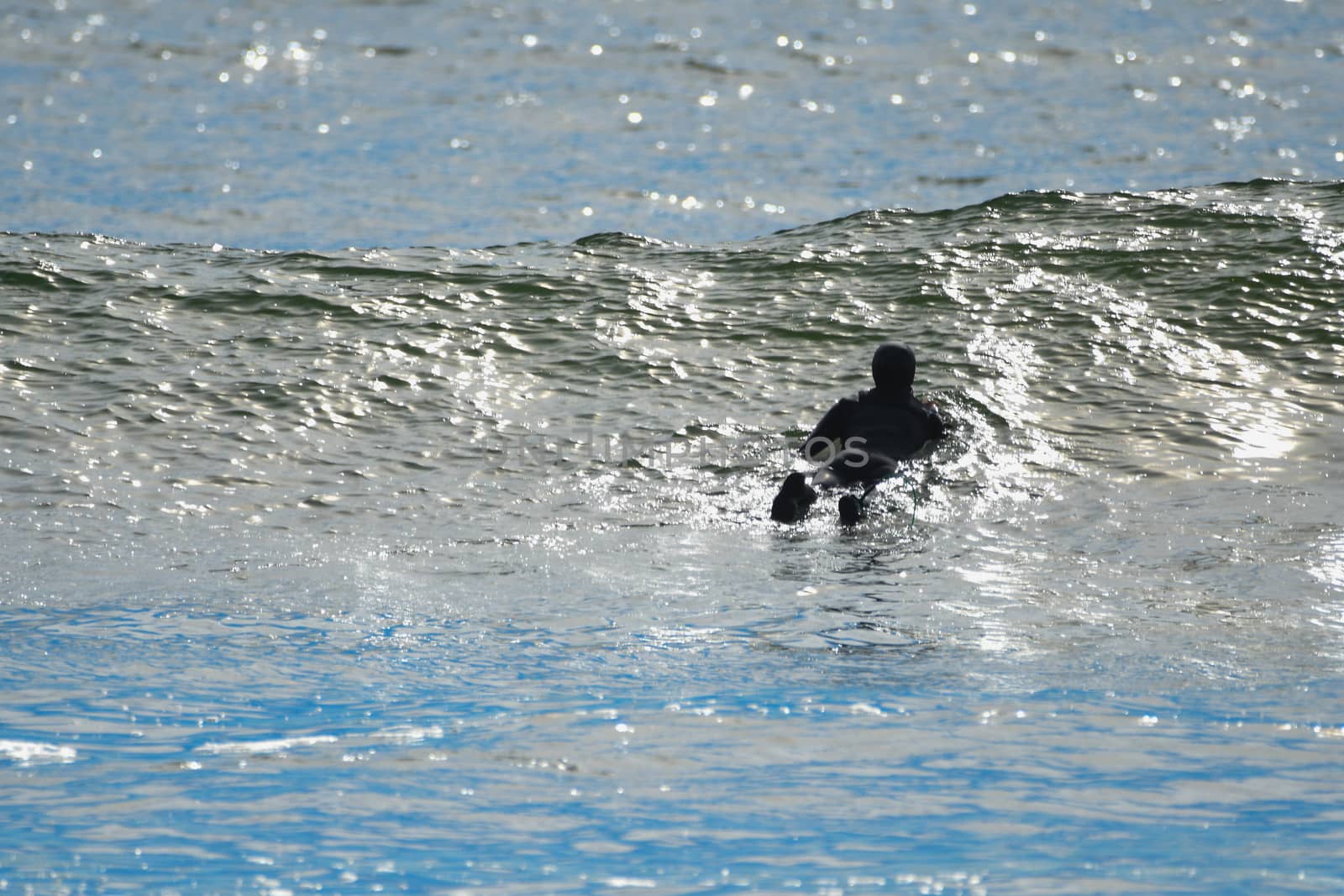 Surf at First Beach, Washington by cestes001