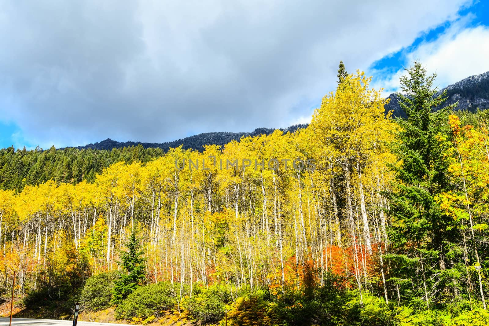 Fall foliage scene near Leavenworth, Washington