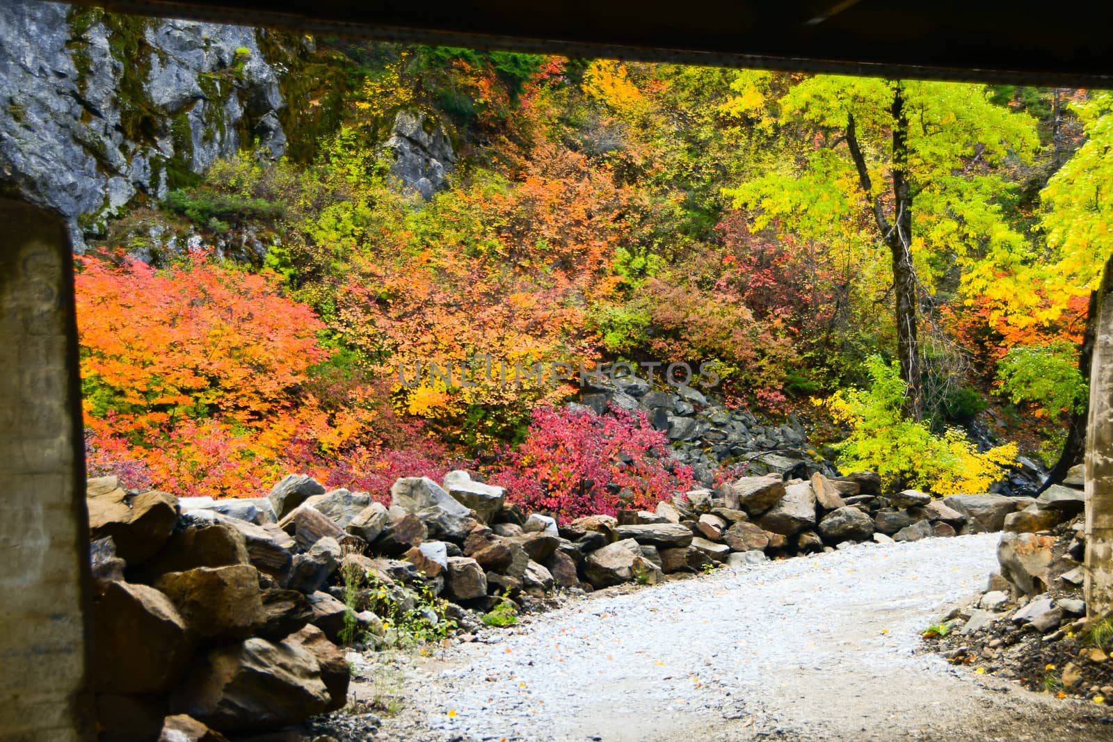 Fall Colors near Leavenworth, Washington by cestes001