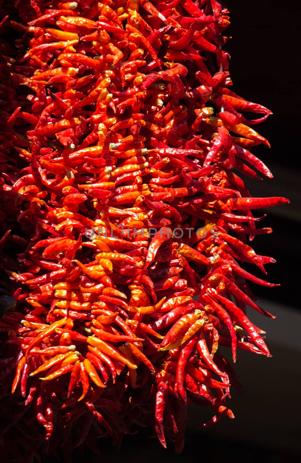 Bundles of red  peppers dry in the sun  by berkay