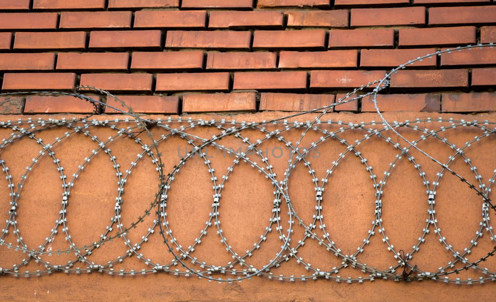 barbed wire fence  used for protection purposes of a pproperty