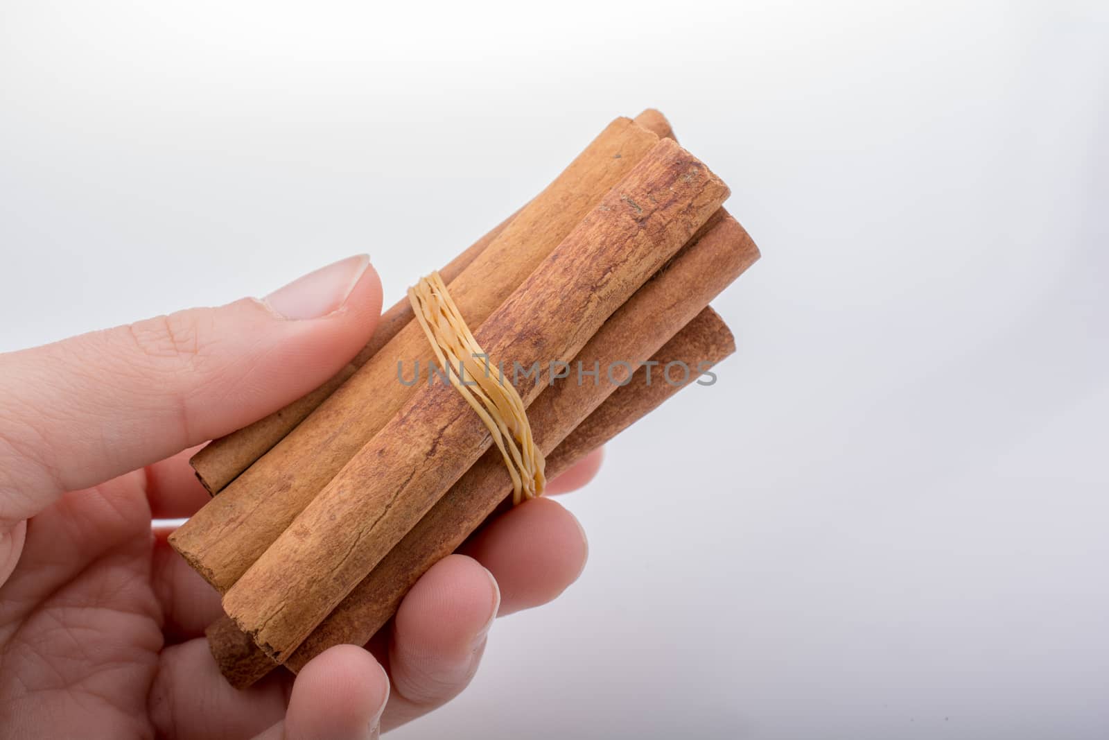 Hand holding cinnamon sticks on a white background