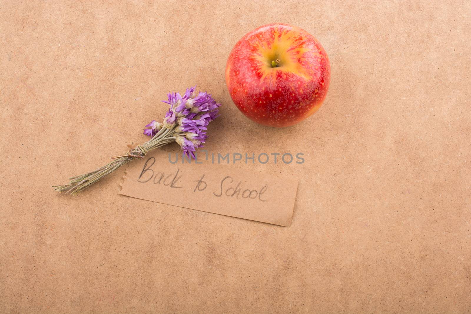 Back to school lettering with apple and flower  by berkay