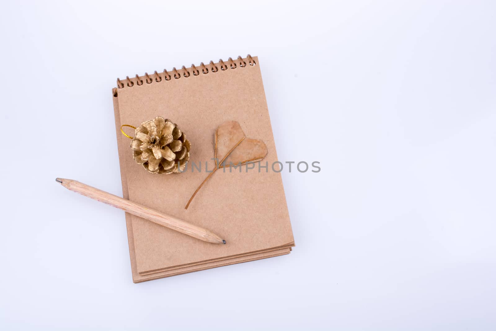 Heart shaped leaf,  pine cone and a pencil on a notebook by berkay
