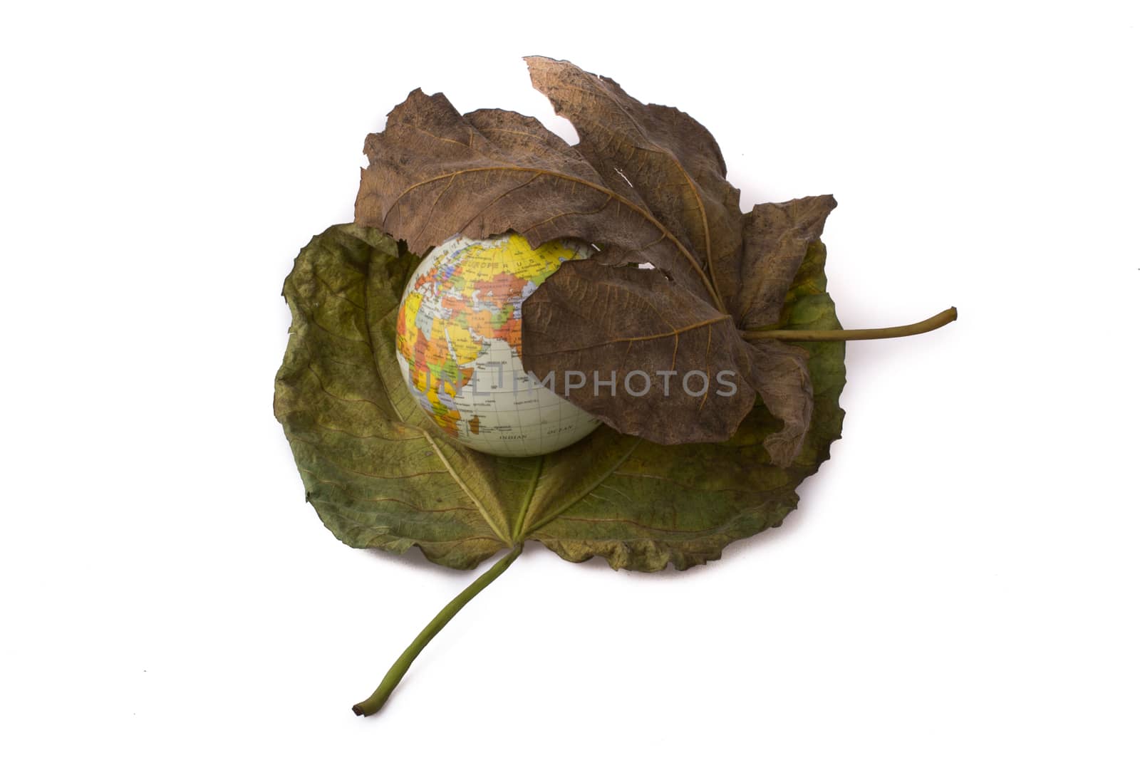 Little model globe placed between two Autumn leaves by berkay