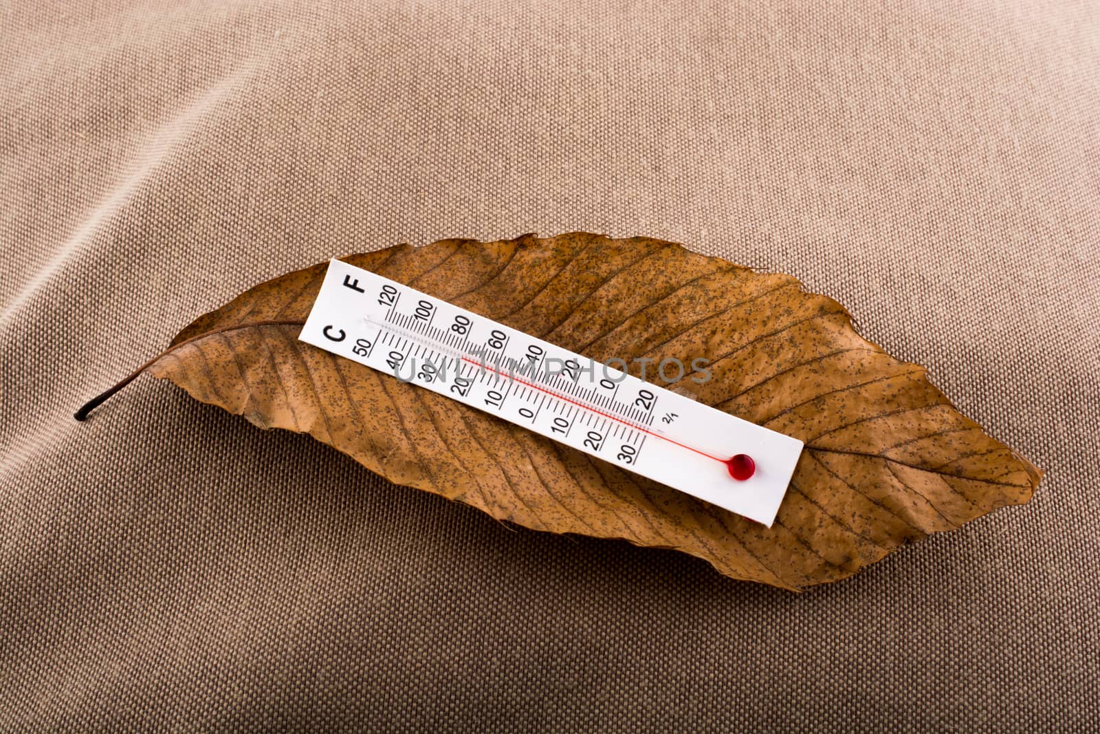 Thermometer placed on a brown dry leaf  by berkay