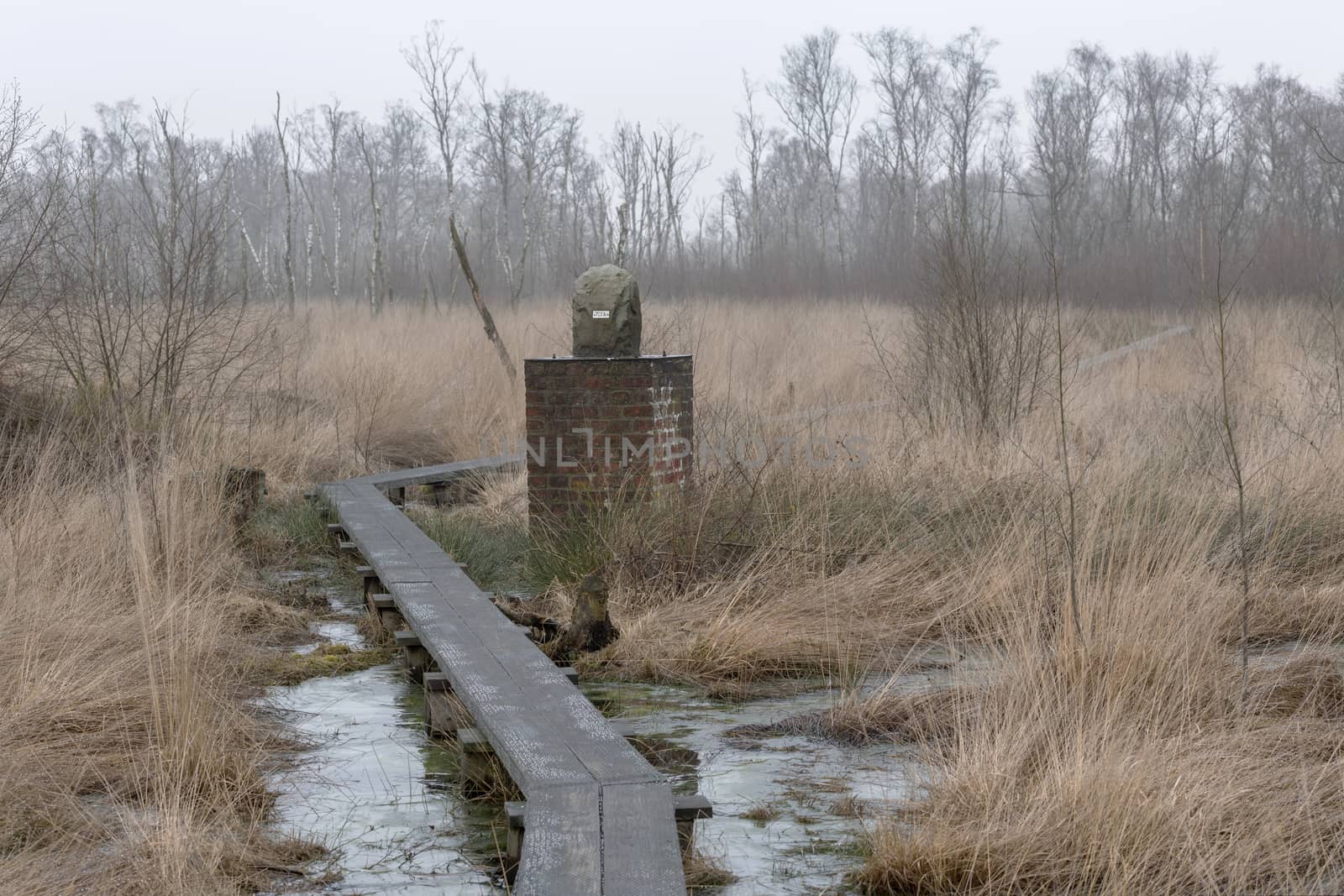 Boundary stone in nature reserve the Wooldse veen in Winterswijk by Tofotografie