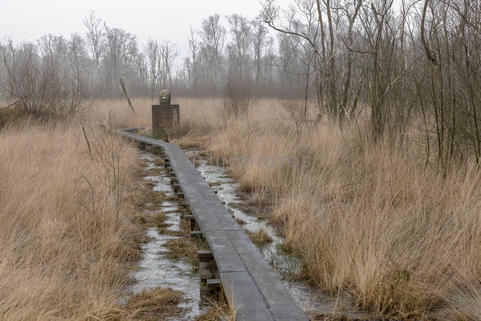 Boundary stone in nature reserve the Wooldse veen on the Southeast side of the municipality of Winterswijk in the Netherlands to the border with Germany. This peat moor area is dissected by the border between the Netherlands and Germany. Therefore there are many boundary stones to be found in this nature reserve.
