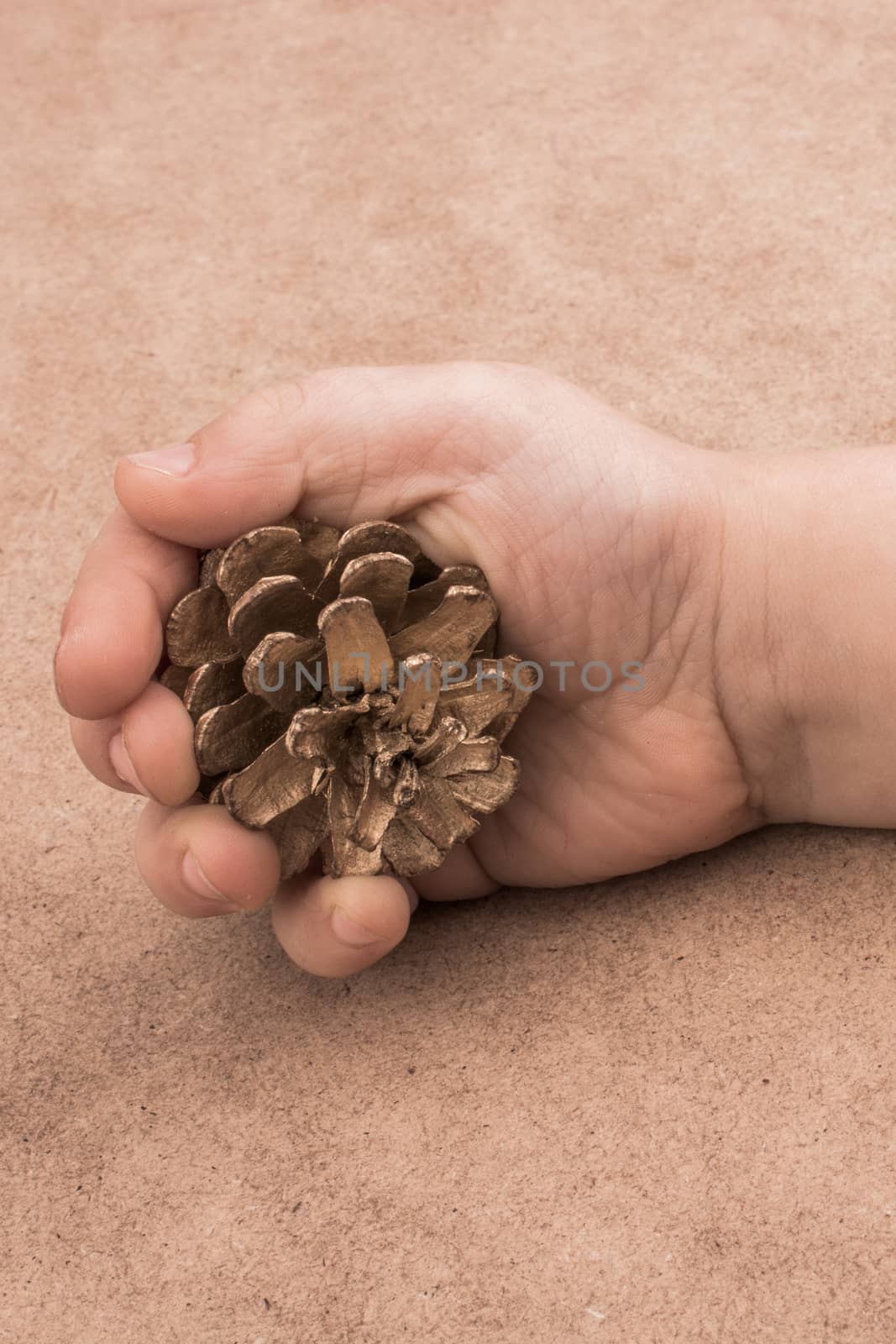Pine cone held  in hand on a brown background