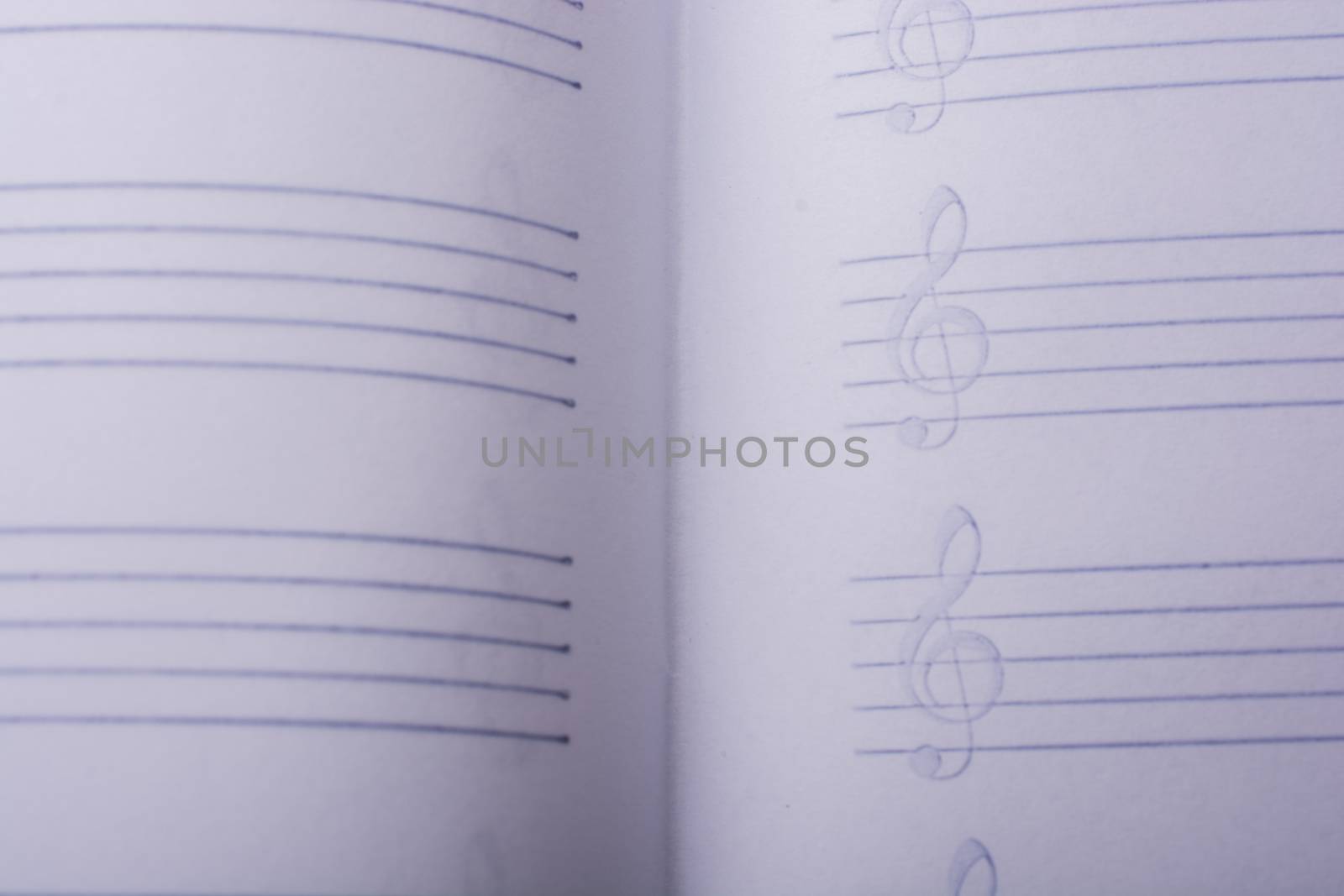 An empty white note paper for musical notes