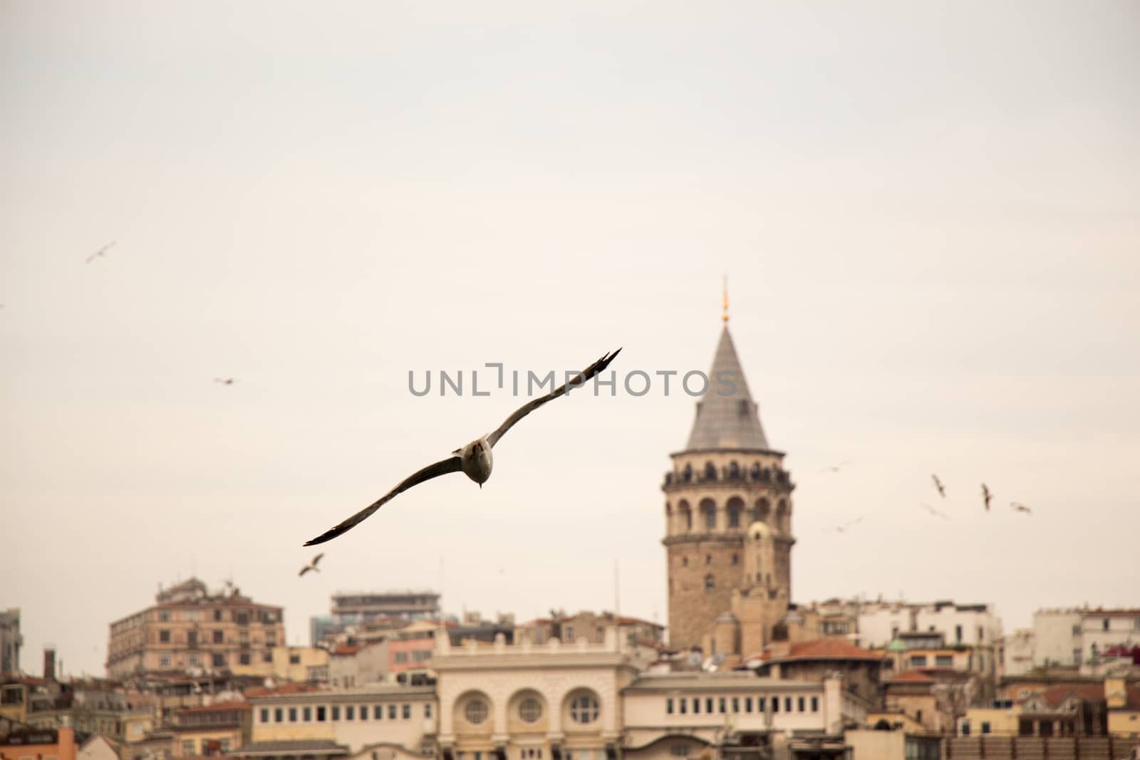  Galata Tower from Byzantium times in Istanbul by berkay