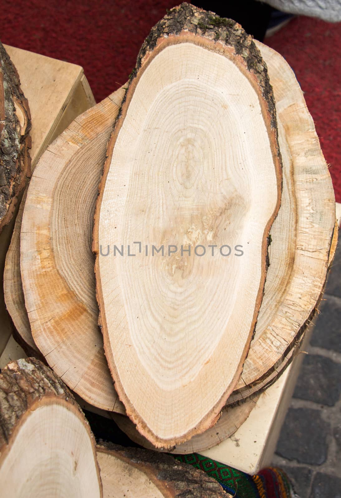 Small piece of cut wood logs  by berkay