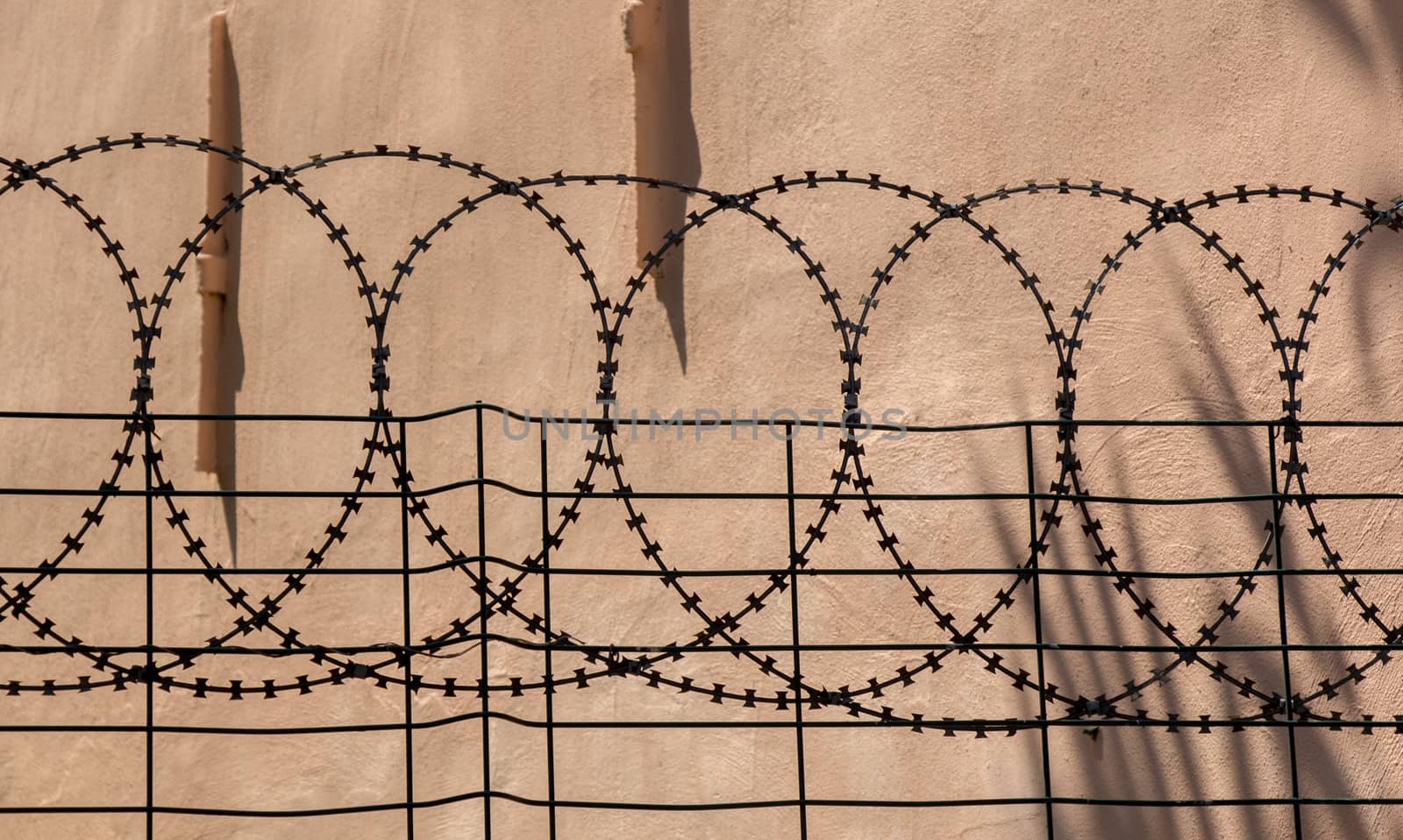 barbed fence  for protection purposes  by berkay