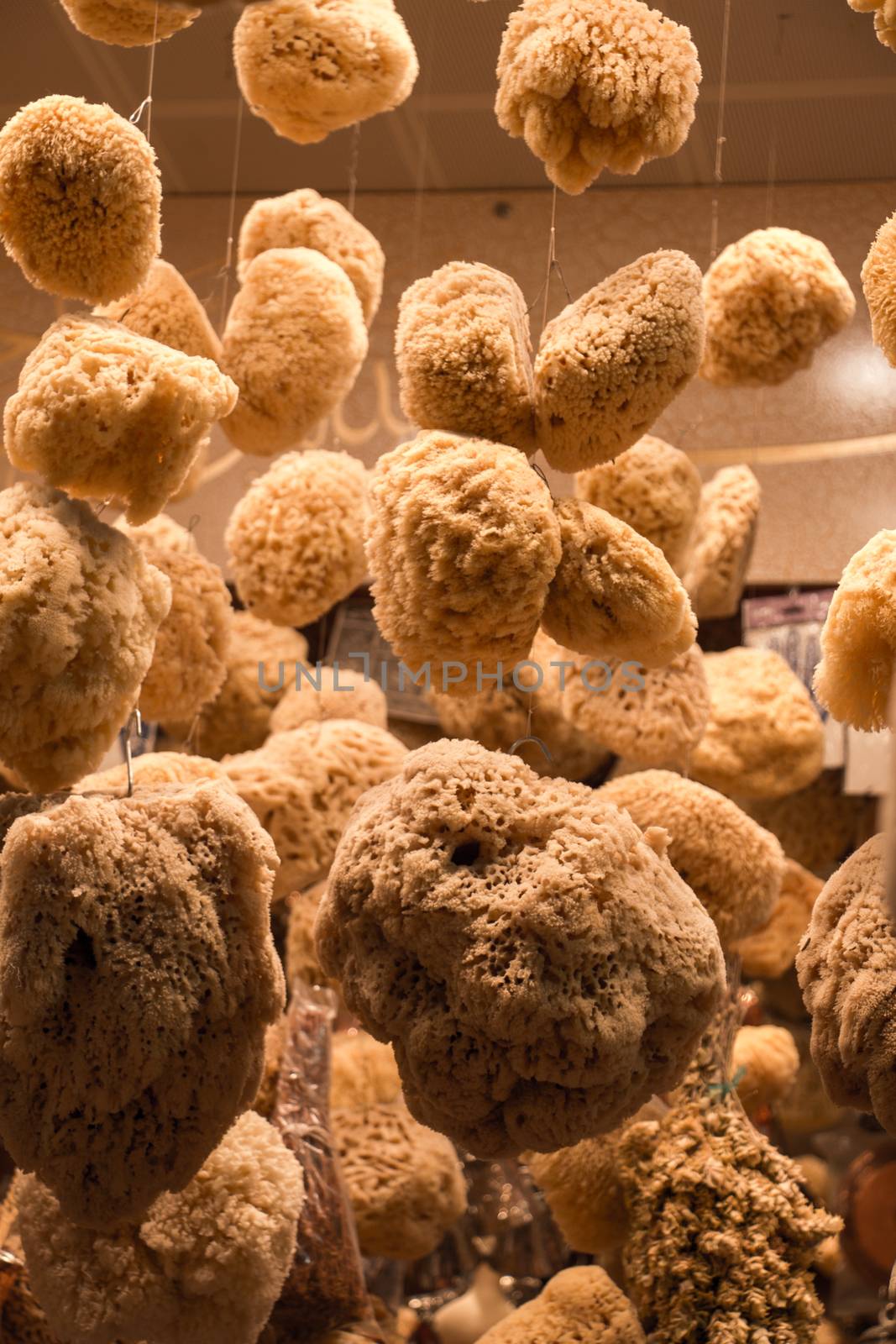 Collection of sea sponges hanging on a market stall