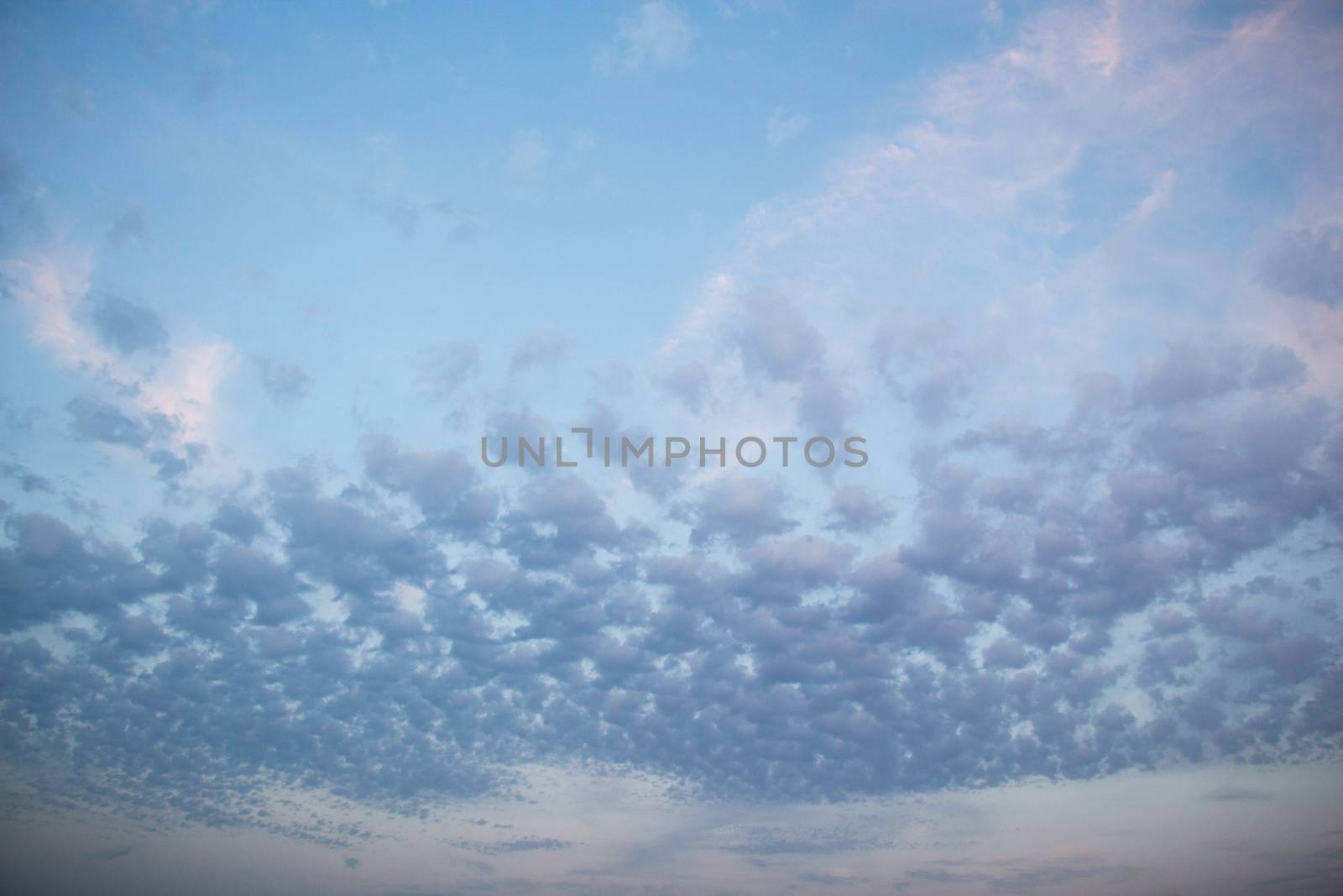 Blue Sky filled with white   clouds