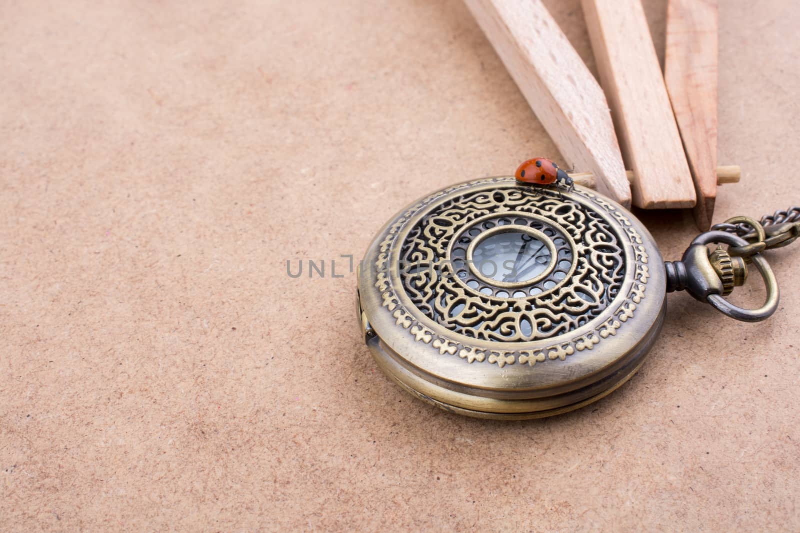 Beautiful photo of red ladybug walking on a pocket watch