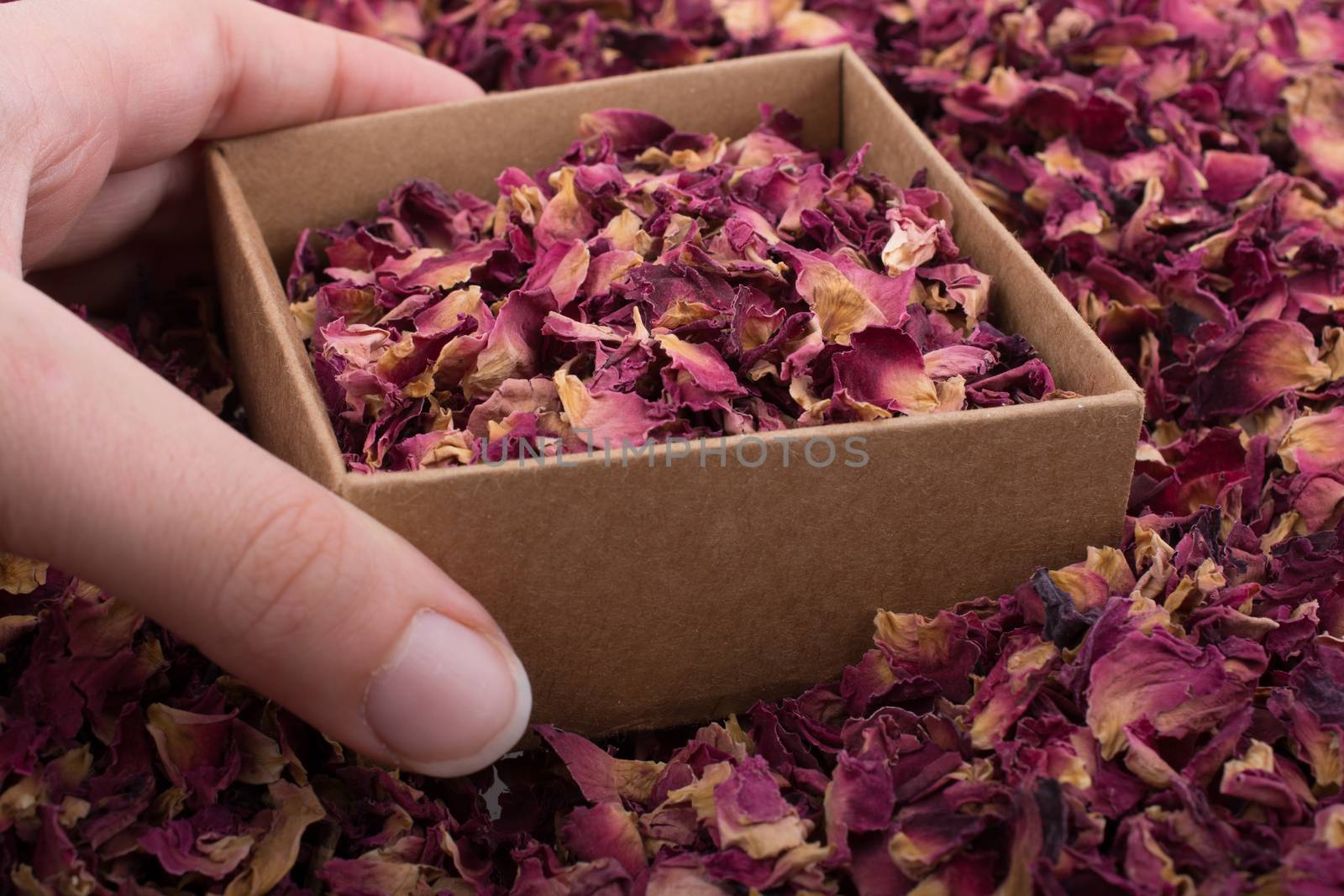 Dried  rose petals in box and as a background