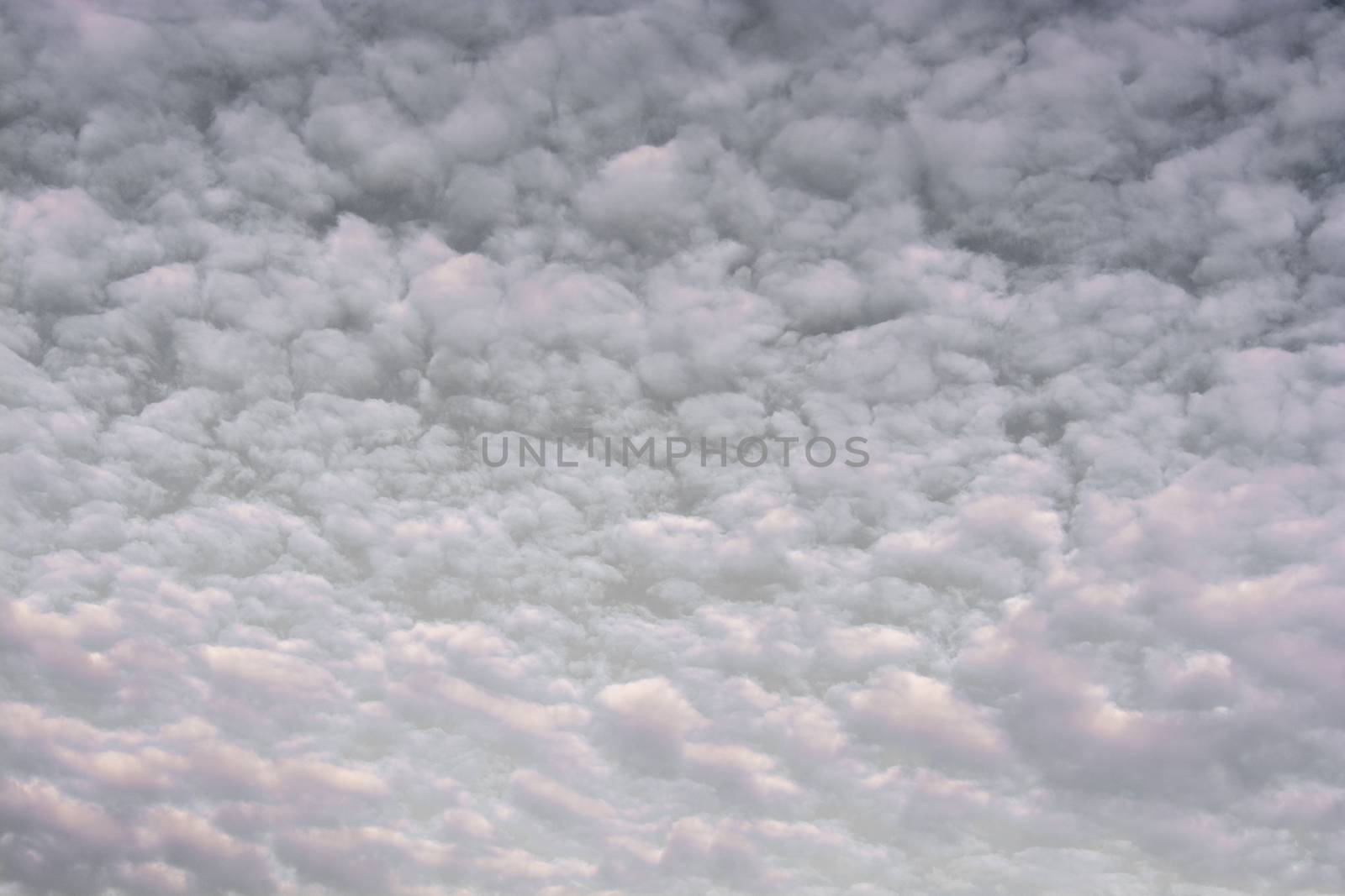 Dark and grey clouds are in the sky