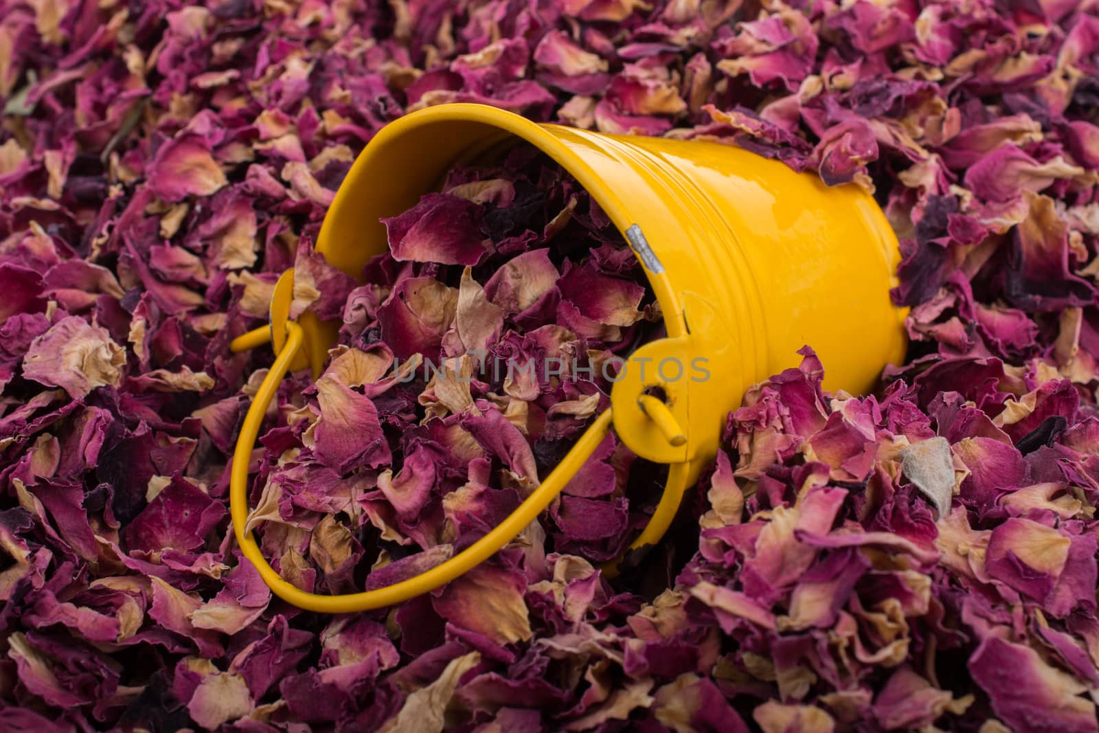 Little bucket on a background of dried  rose petals