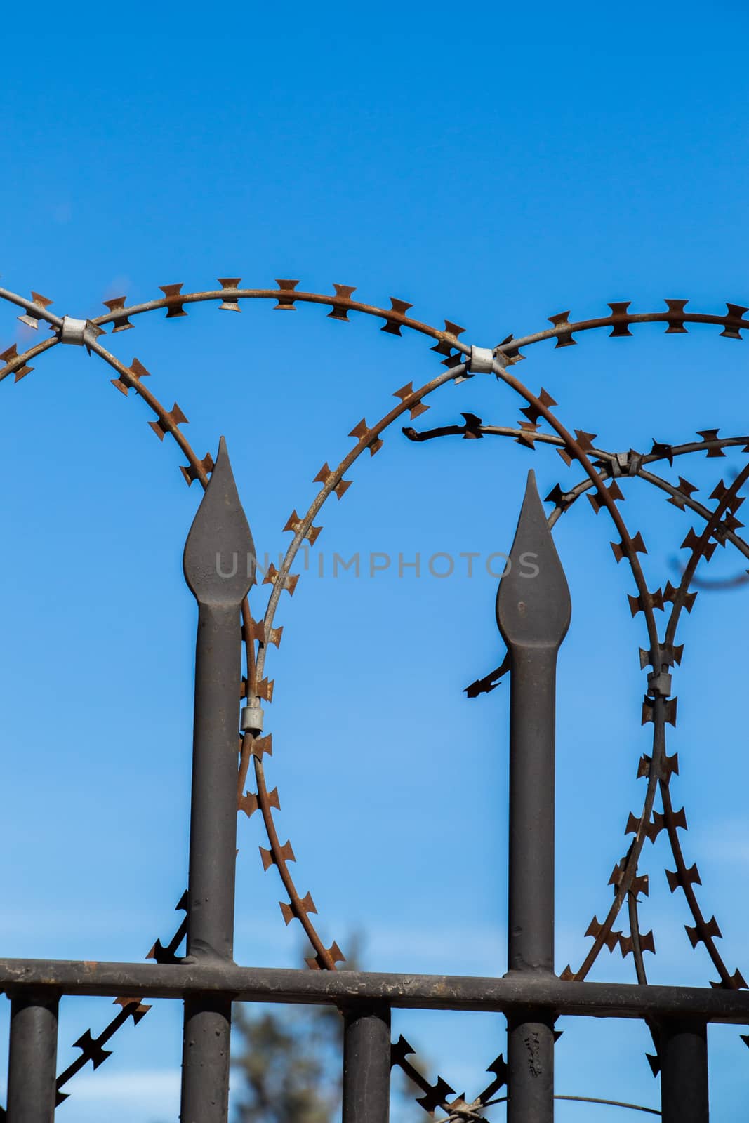 barbed wire fence  used for protection purposes