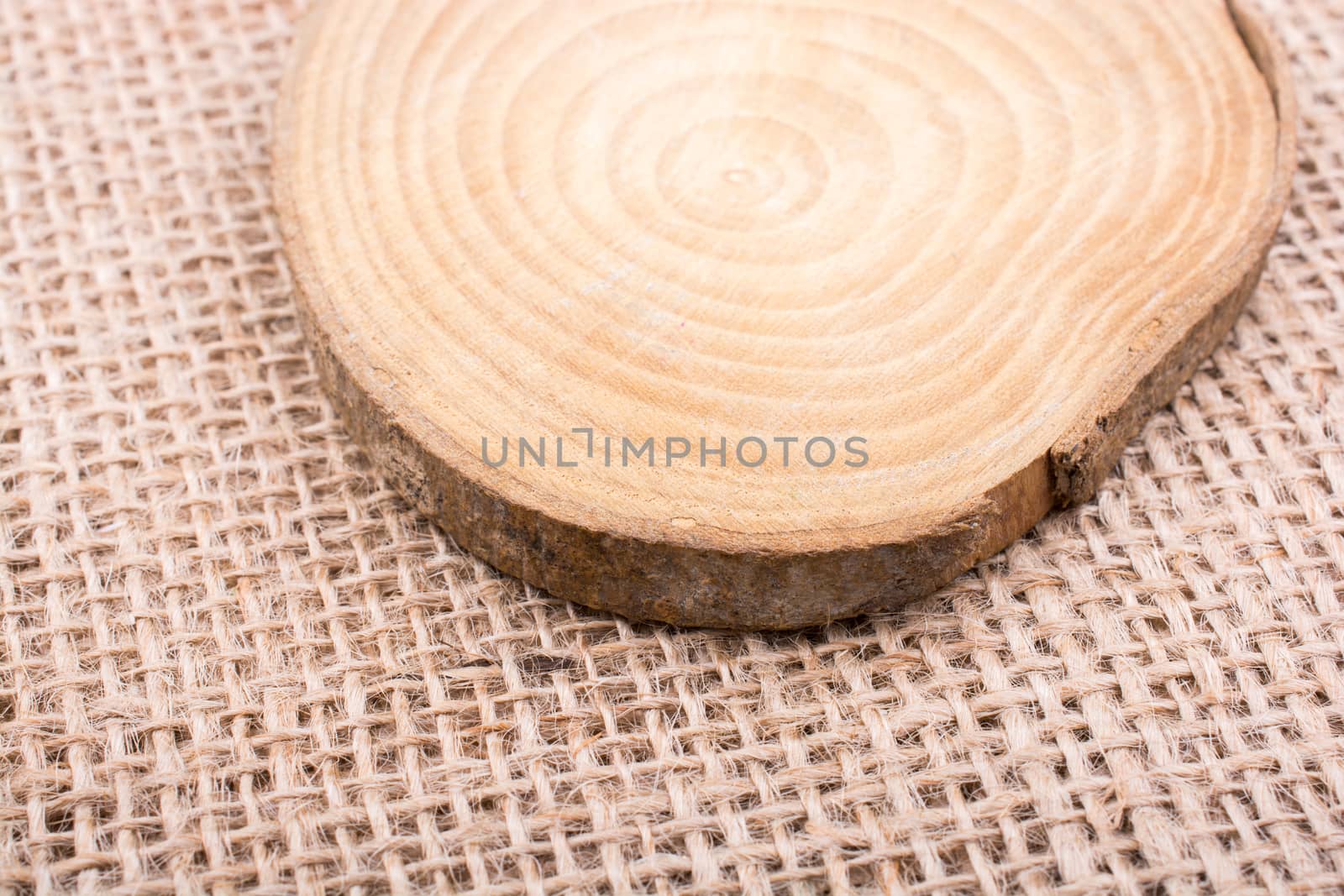 small piece of cut wood logs used for  wood texture background