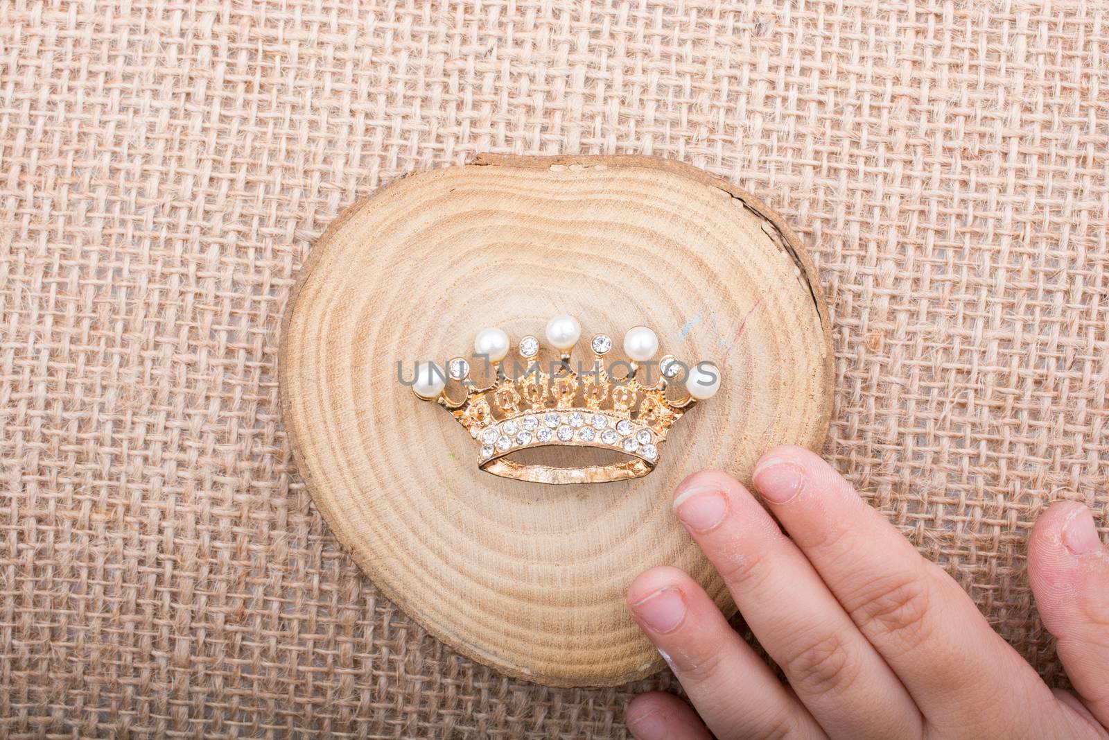 Hand holding a little model crown in hand